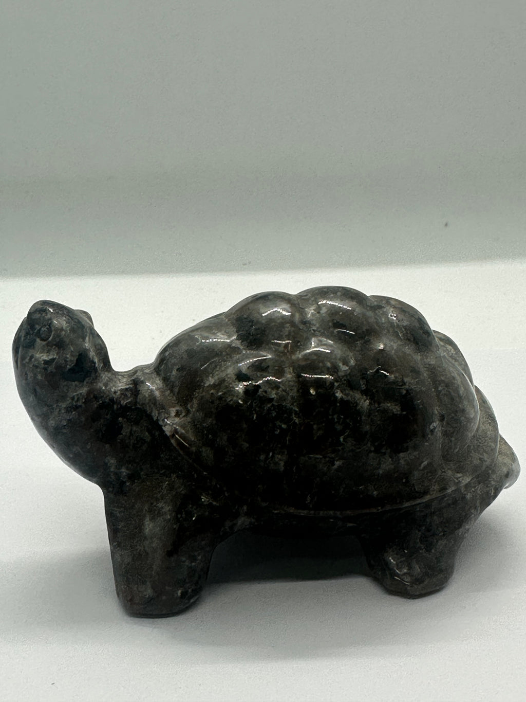 Yooperlite Turtle – 301g