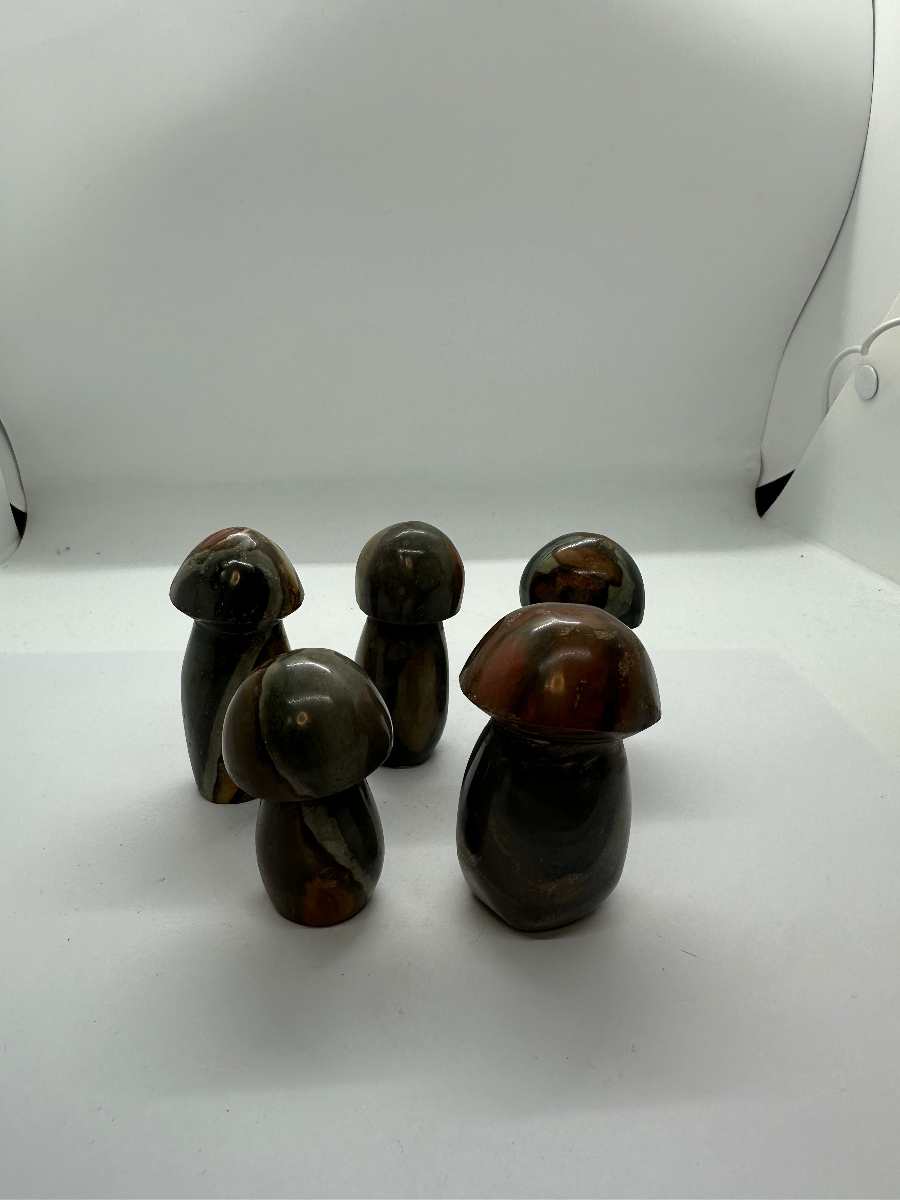 Polychrome Jasper Mushroom – 95g