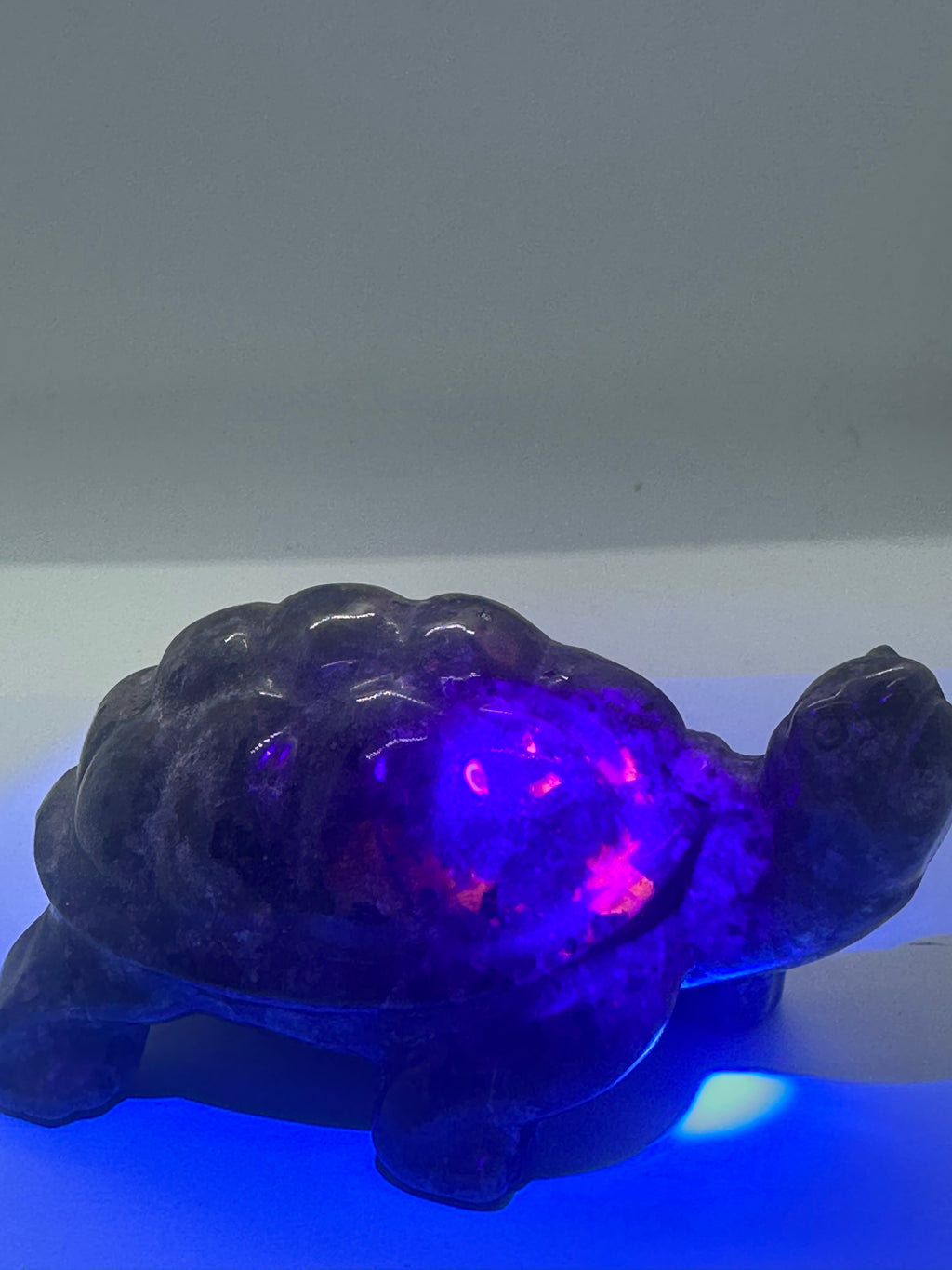 Yooperlite Turtle – 301g