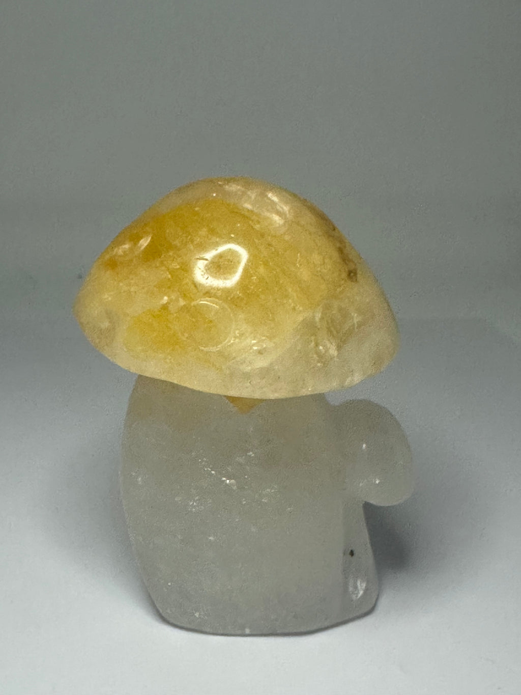 Golden Healer Mushroom Carving – 240g