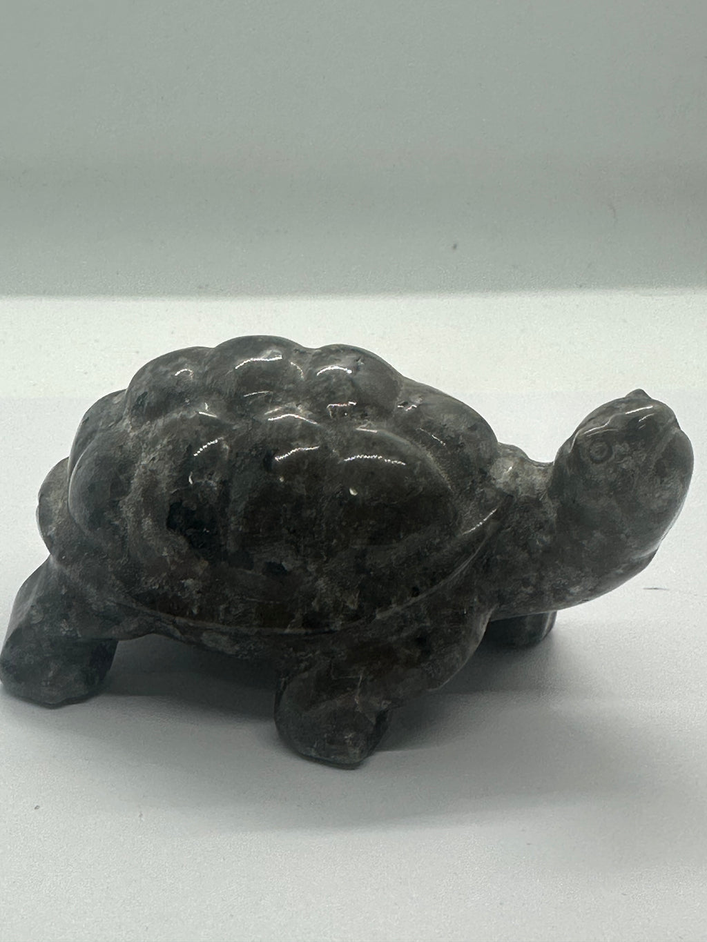 Yooperlite Turtle – 301g