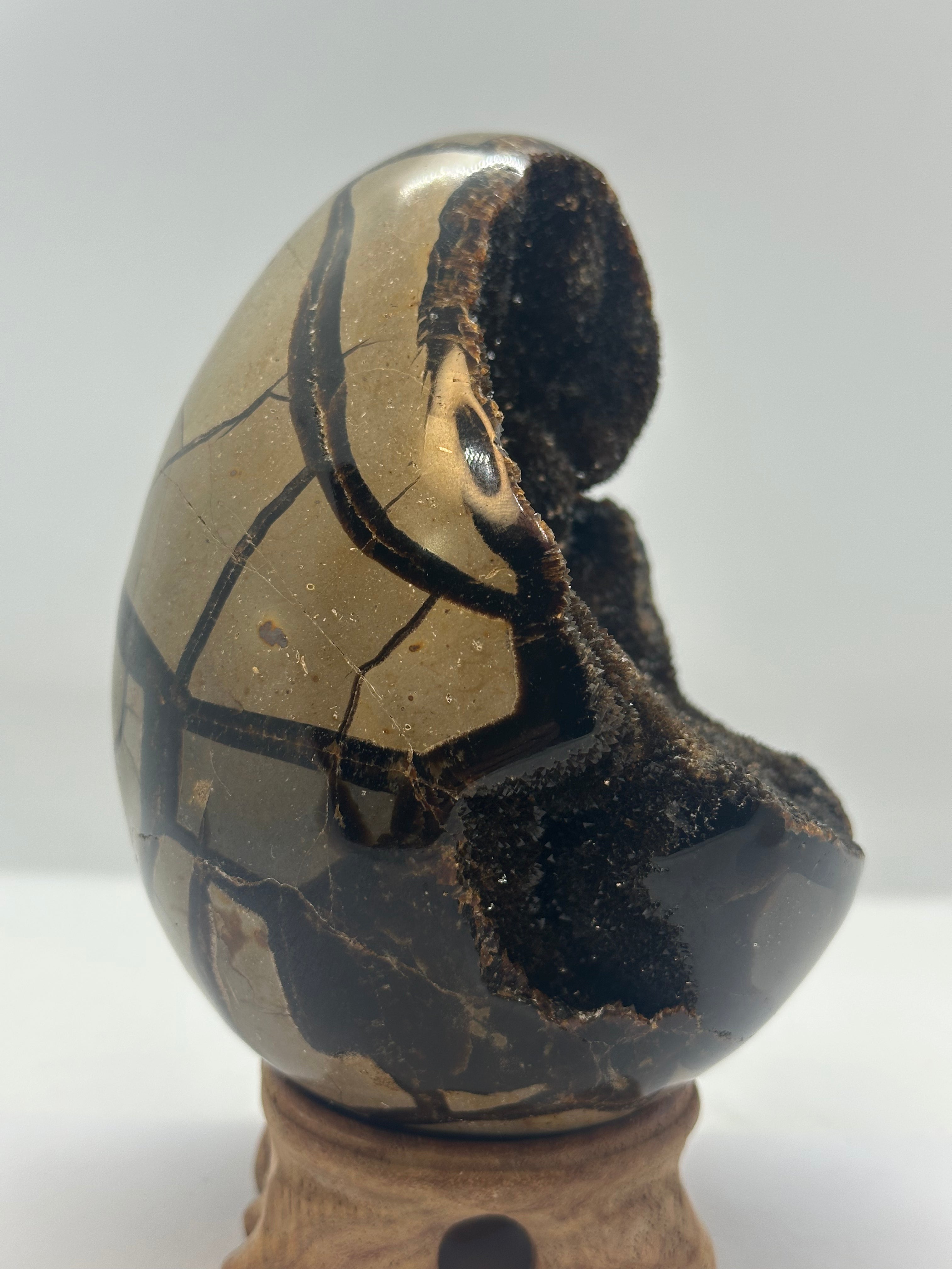 Septarian Druzy Egg – 1.11kg