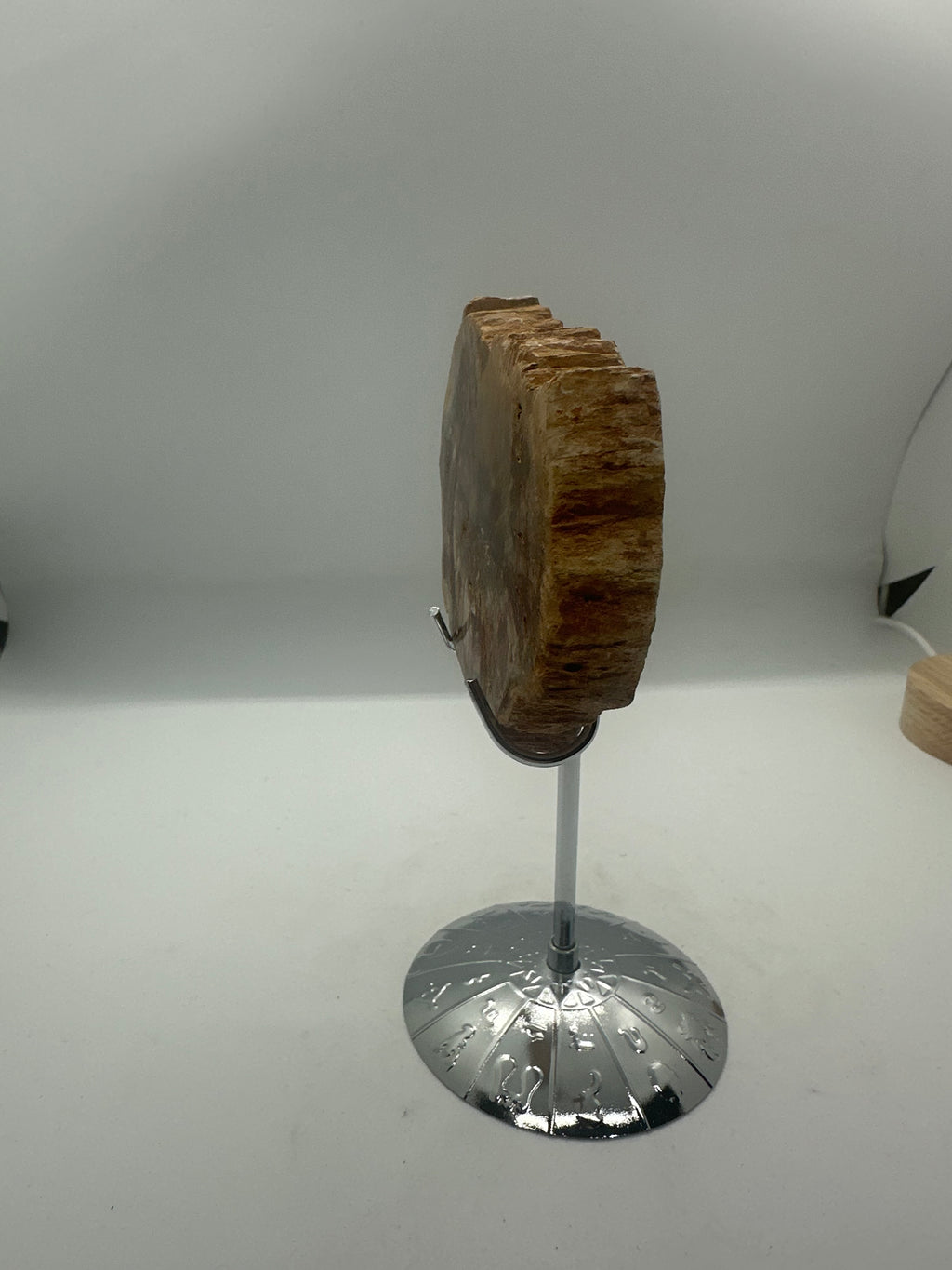 Petrified Wood Slab – 165g
