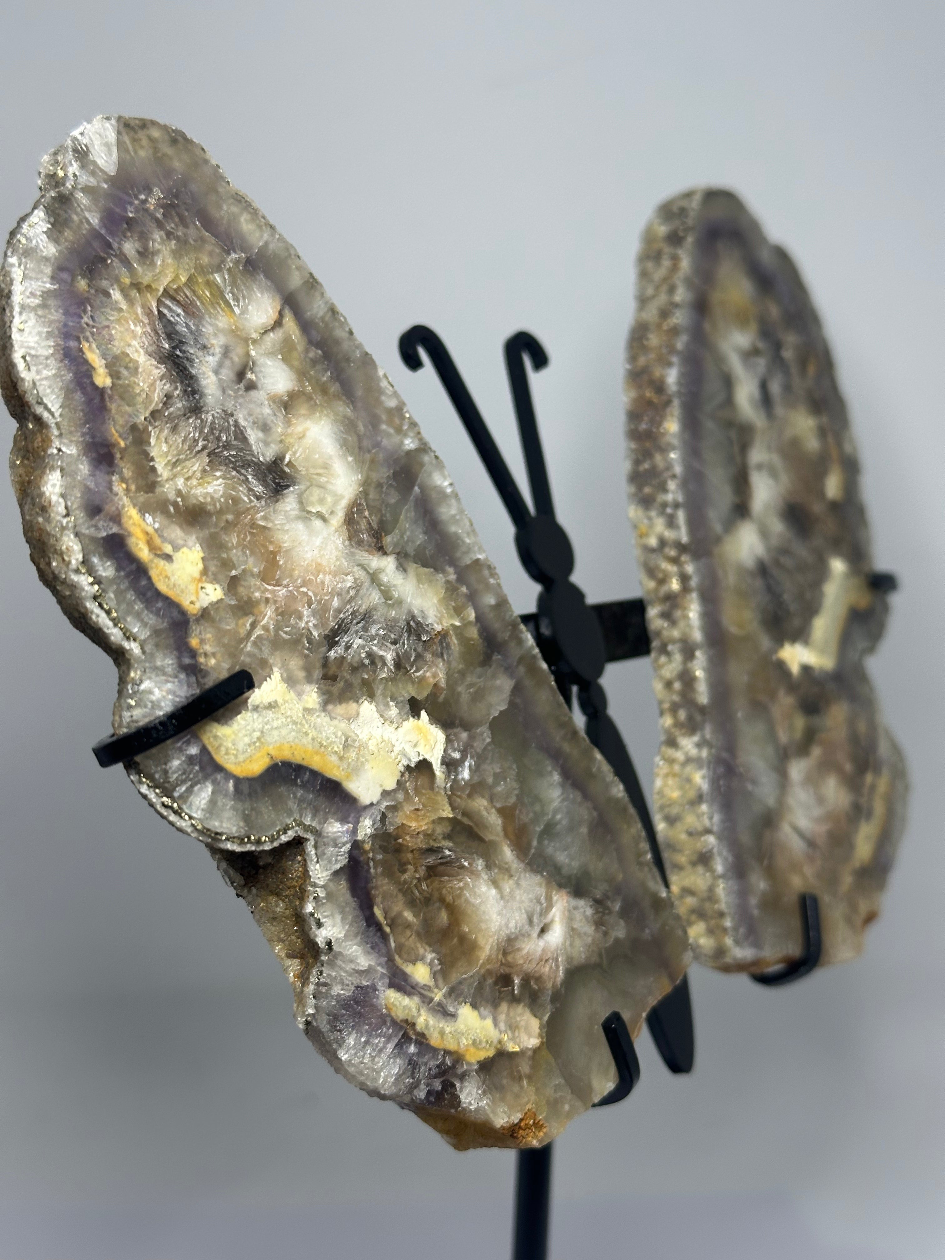 Fluorite Butterfly Wings on Stand – 850g