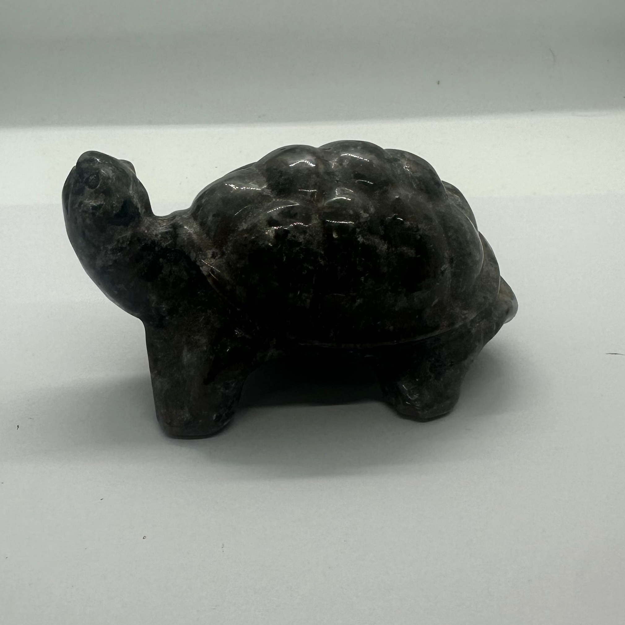 Yooperlite Turtle – 301g