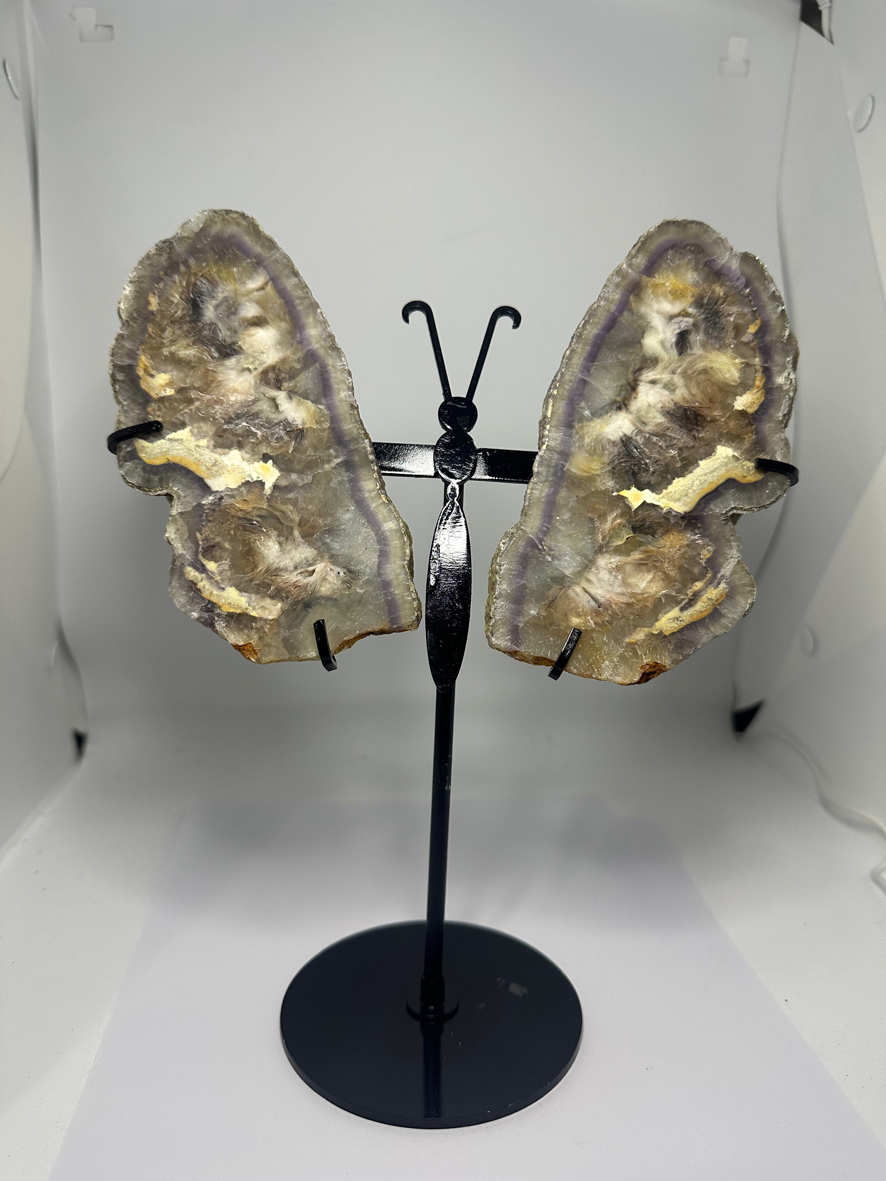 Fluorite Butterfly Wings on Stand – 850g