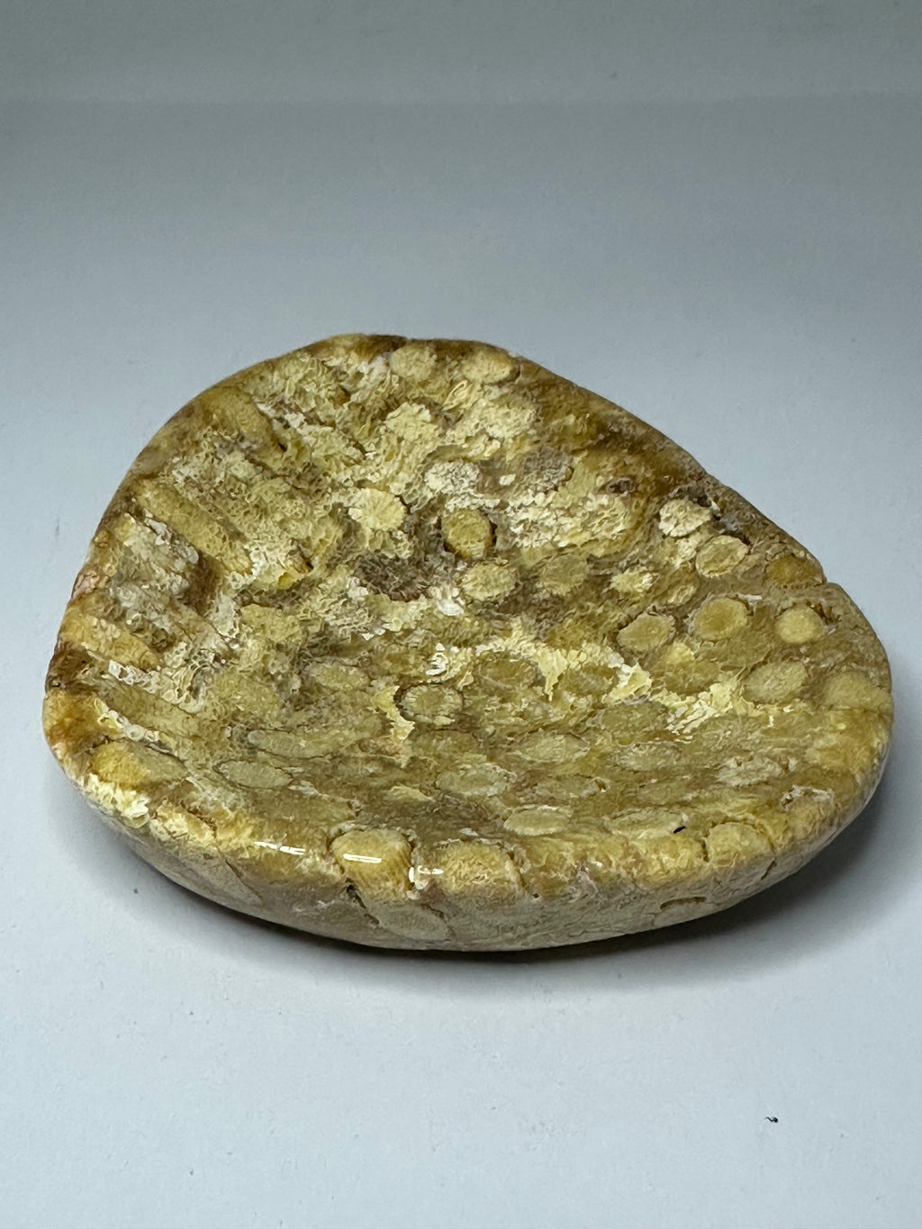 Coral bowl
