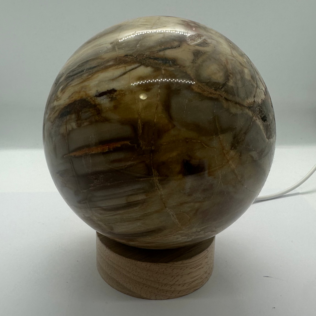 Petrified Wood Sphere – 105mm / 1.54kg