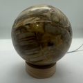 Petrified Wood Sphere – 105mm / 1.54kg