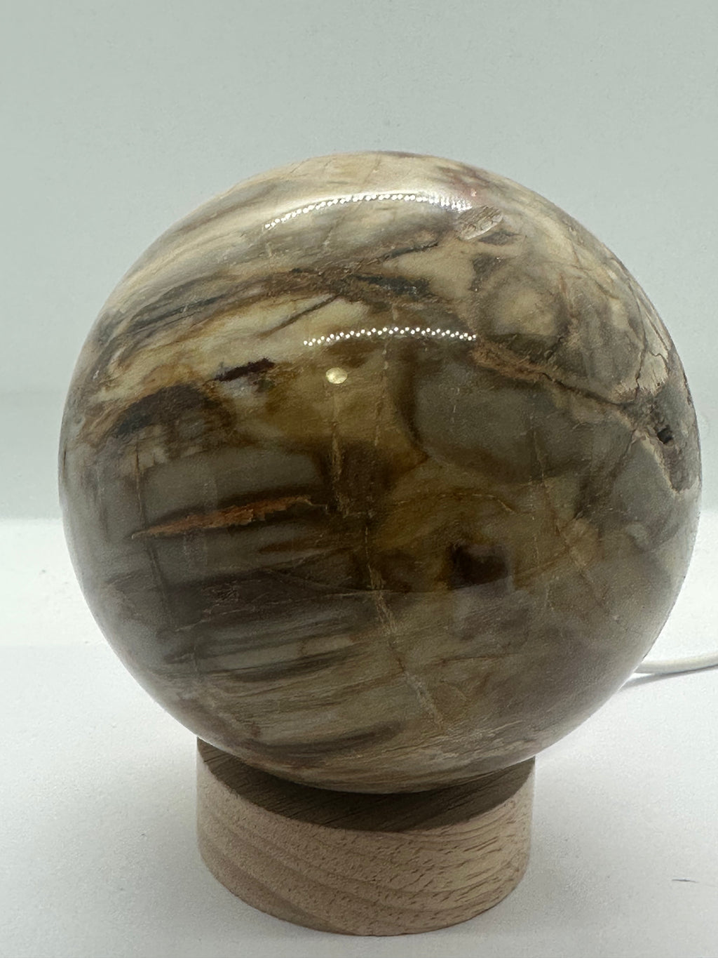 Petrified Wood Sphere – 105mm / 1.54kg