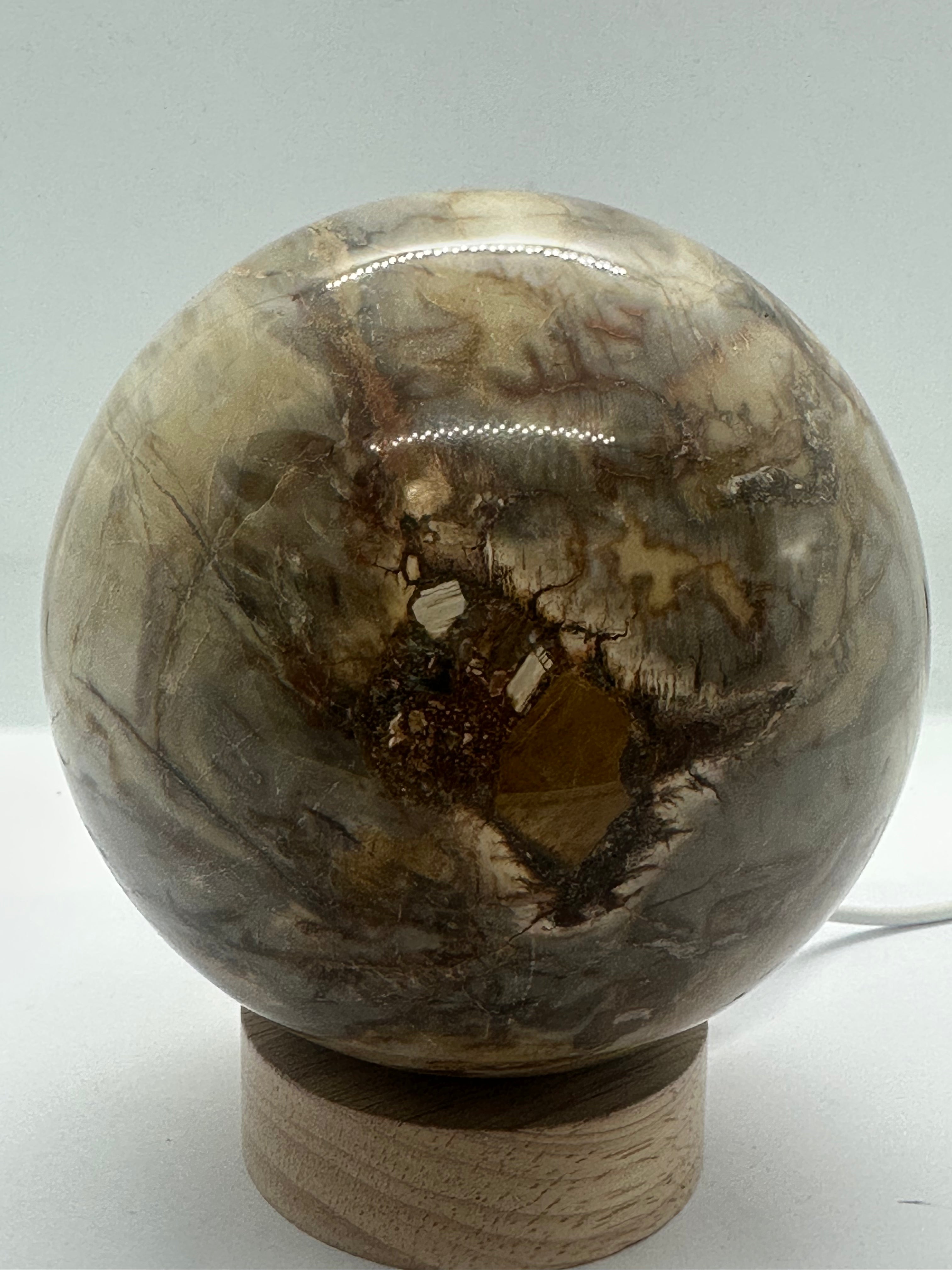 Petrified Wood Sphere – 105mm / 1.54kg