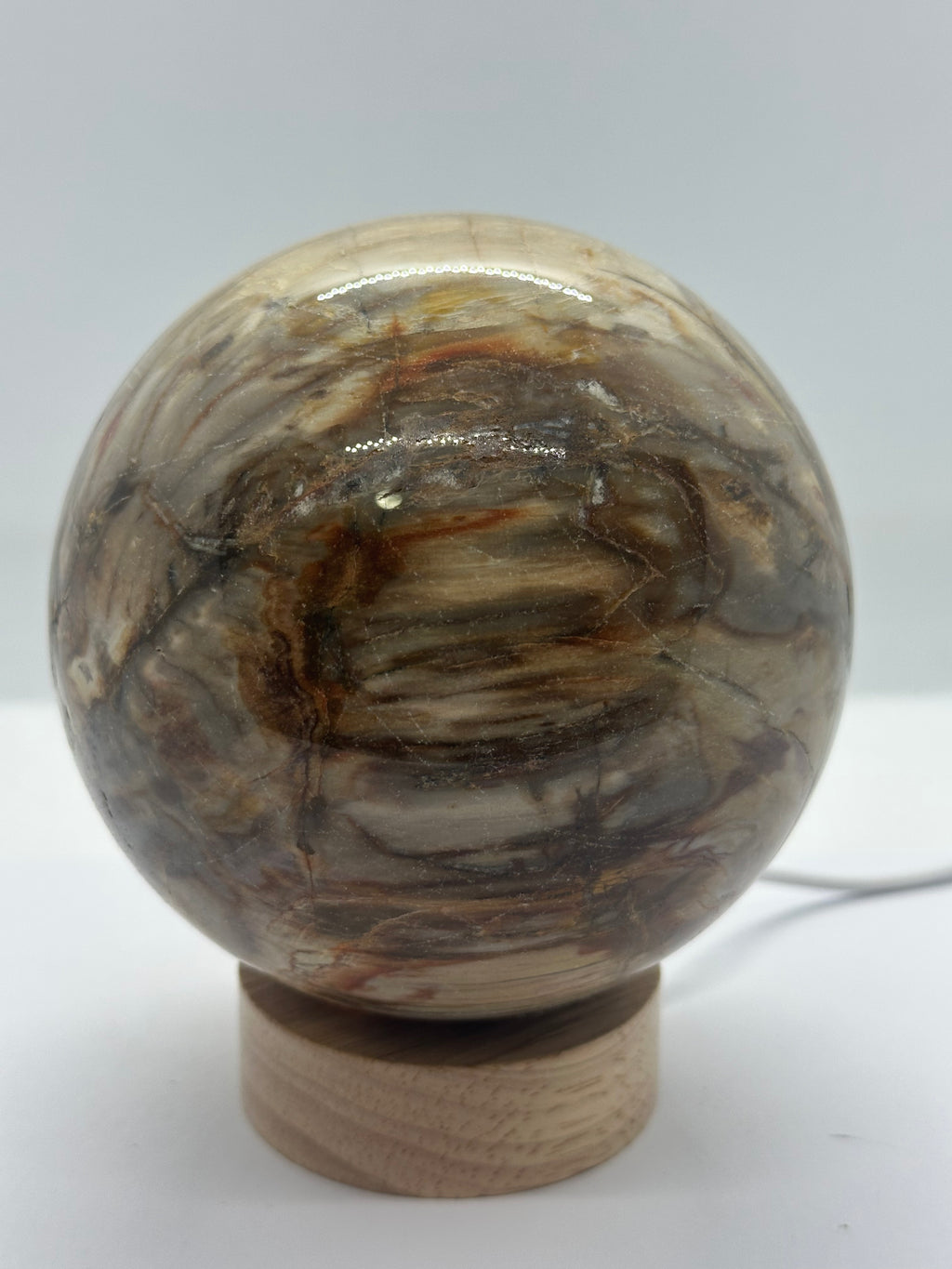 Petrified Wood Sphere – 105mm / 1.54kg