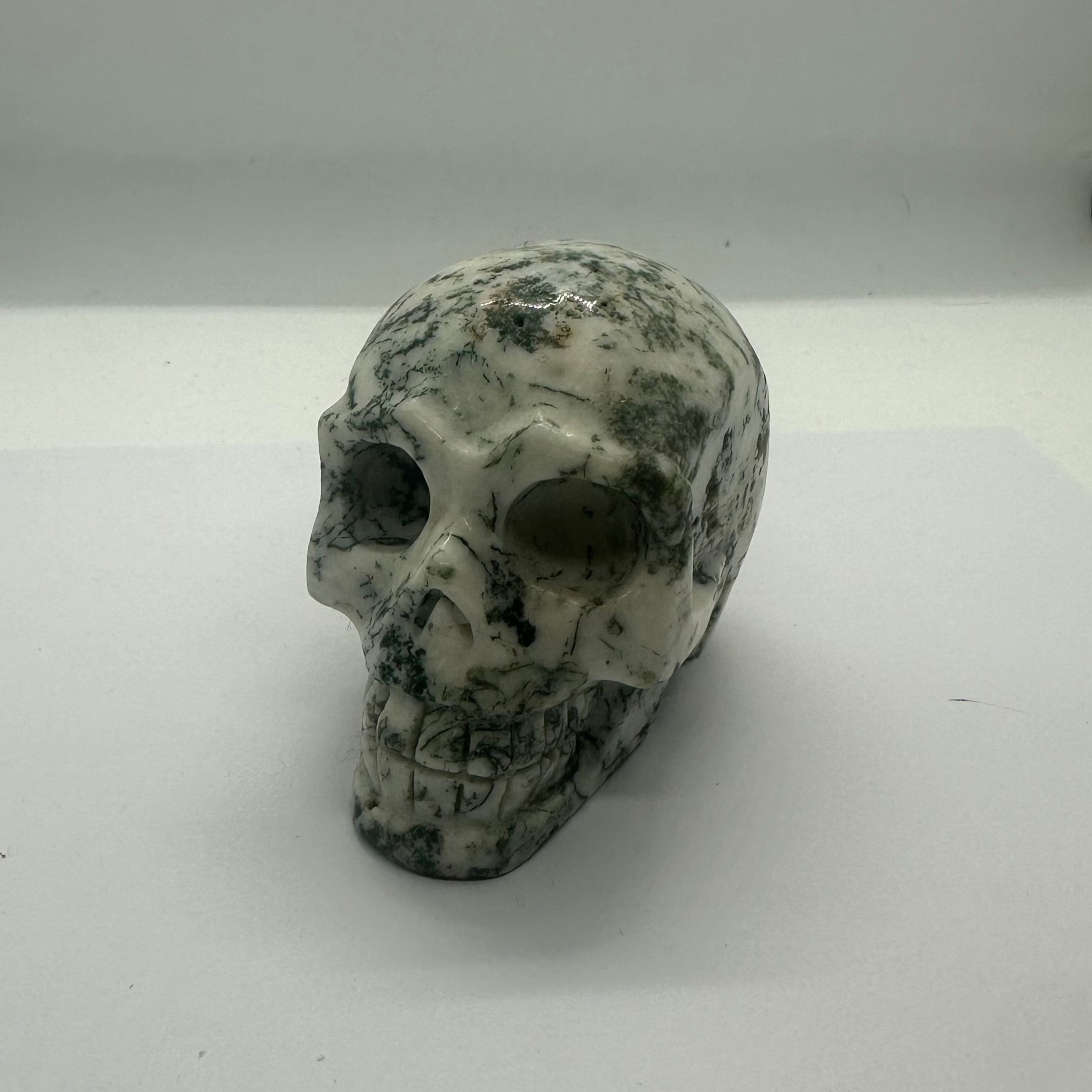 Moss Agate Skull – 80mm / 70mm