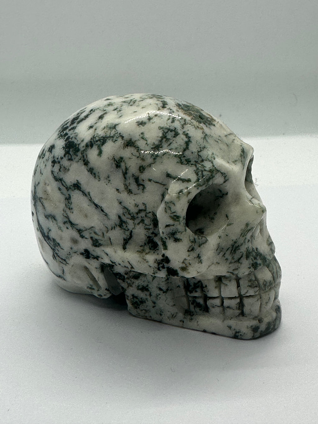 Moss Agate Skull – 80mm / 70mm