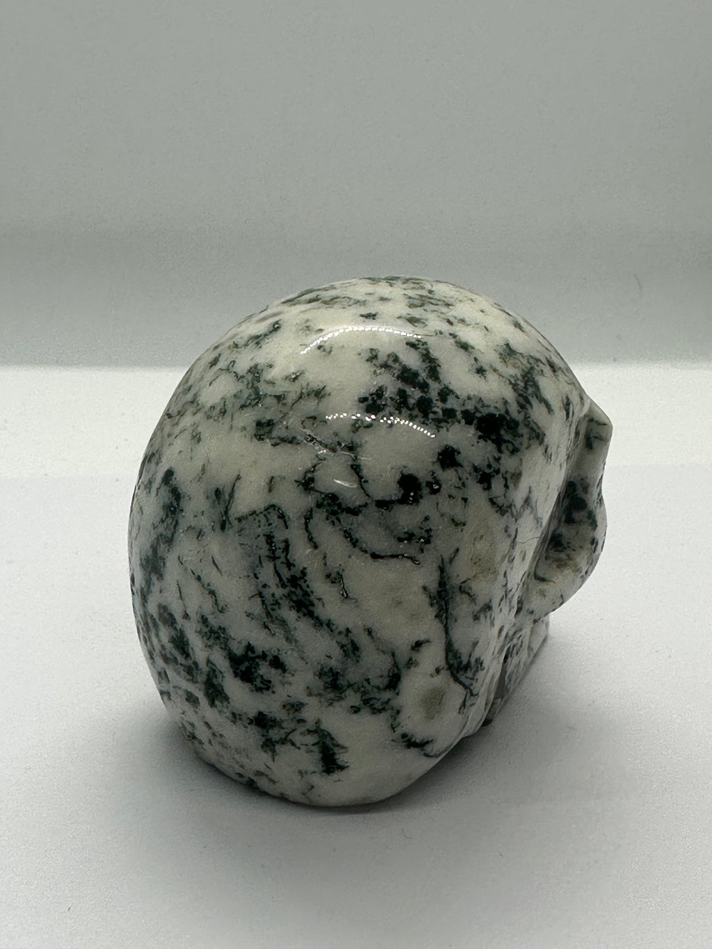 Moss Agate Skull – 80mm / 70mm