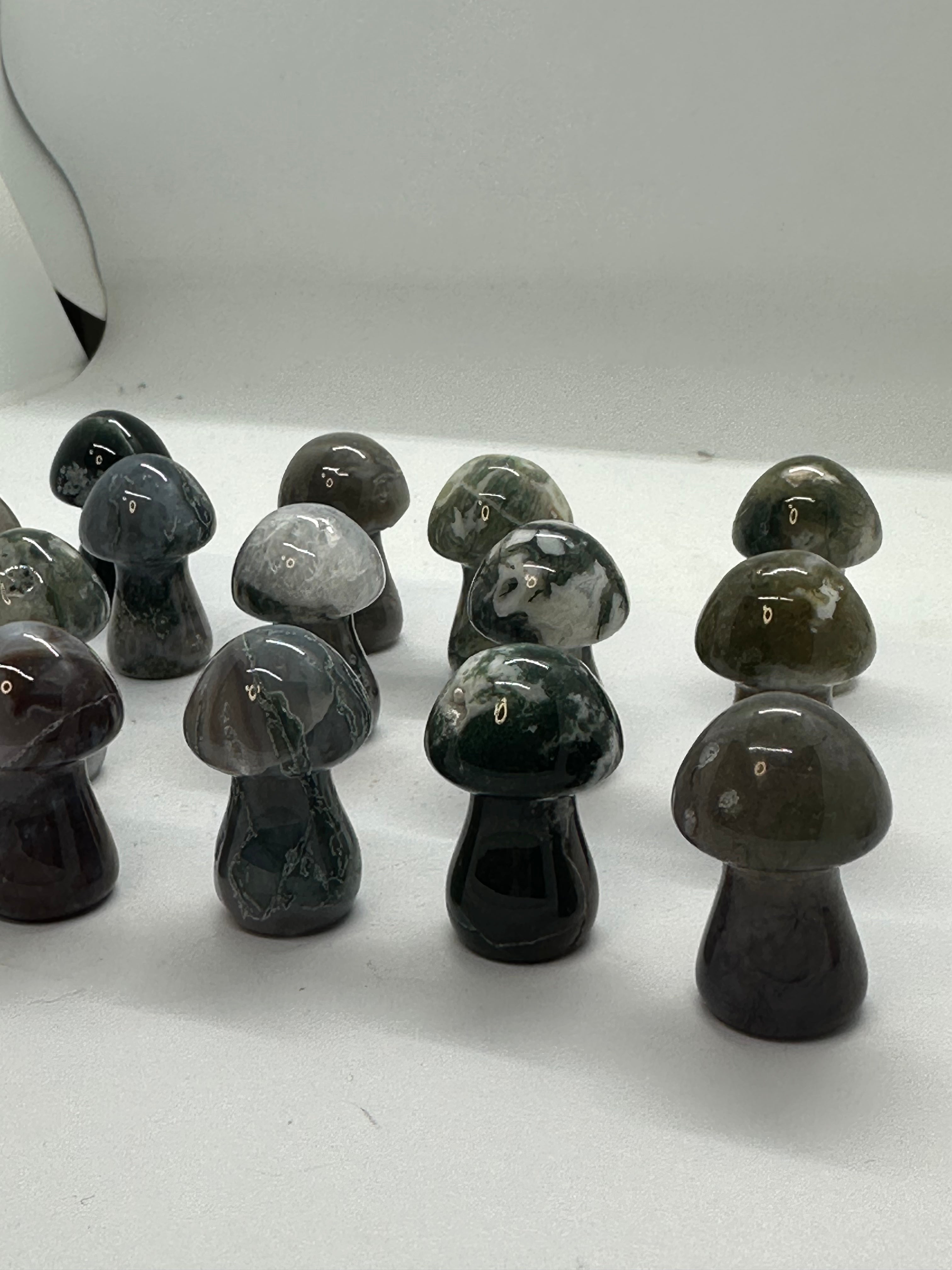 Moss Agate Mushroom – 38mm / 12g