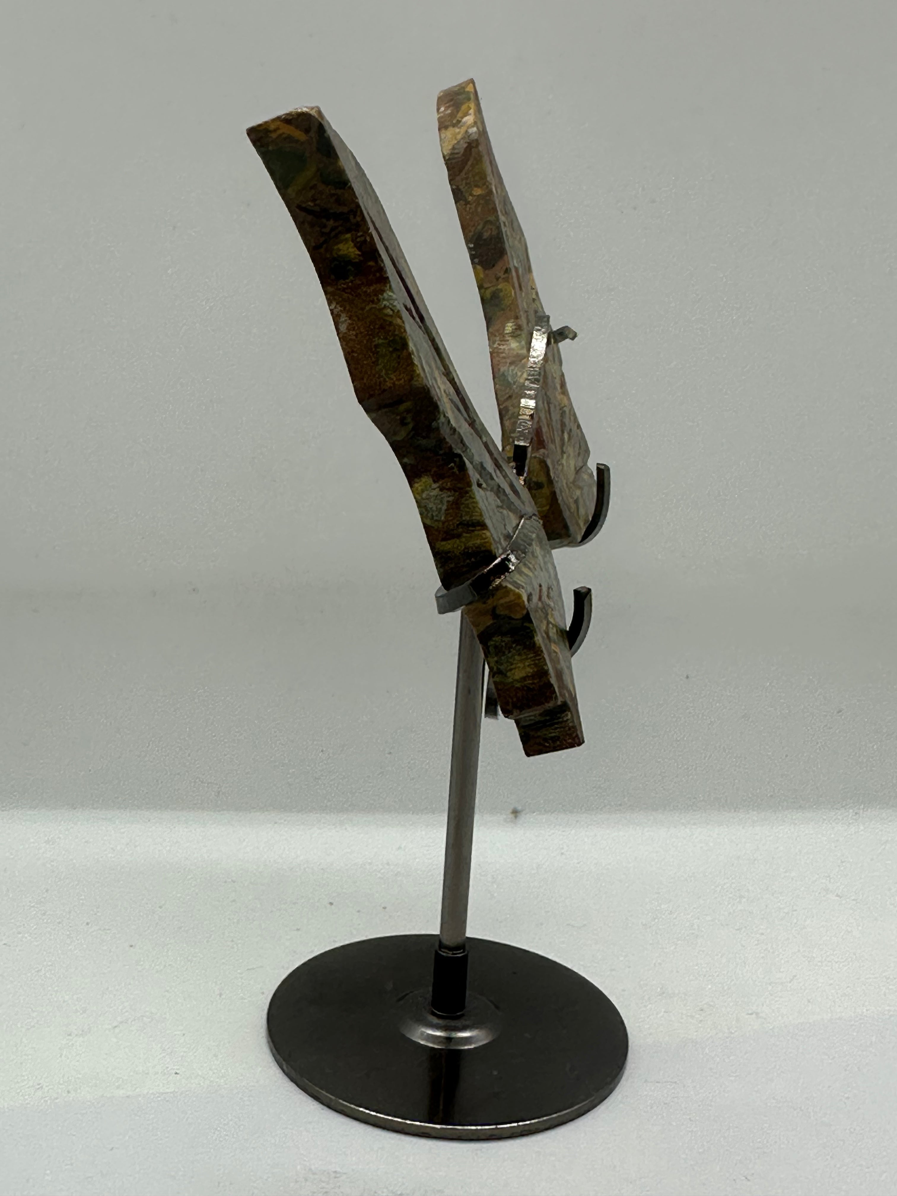 Fruit Jasper Dragon Wing Set on Stand – 135g