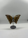 Tiger’s Eye Butterfly Wing Set on Stand – 154g