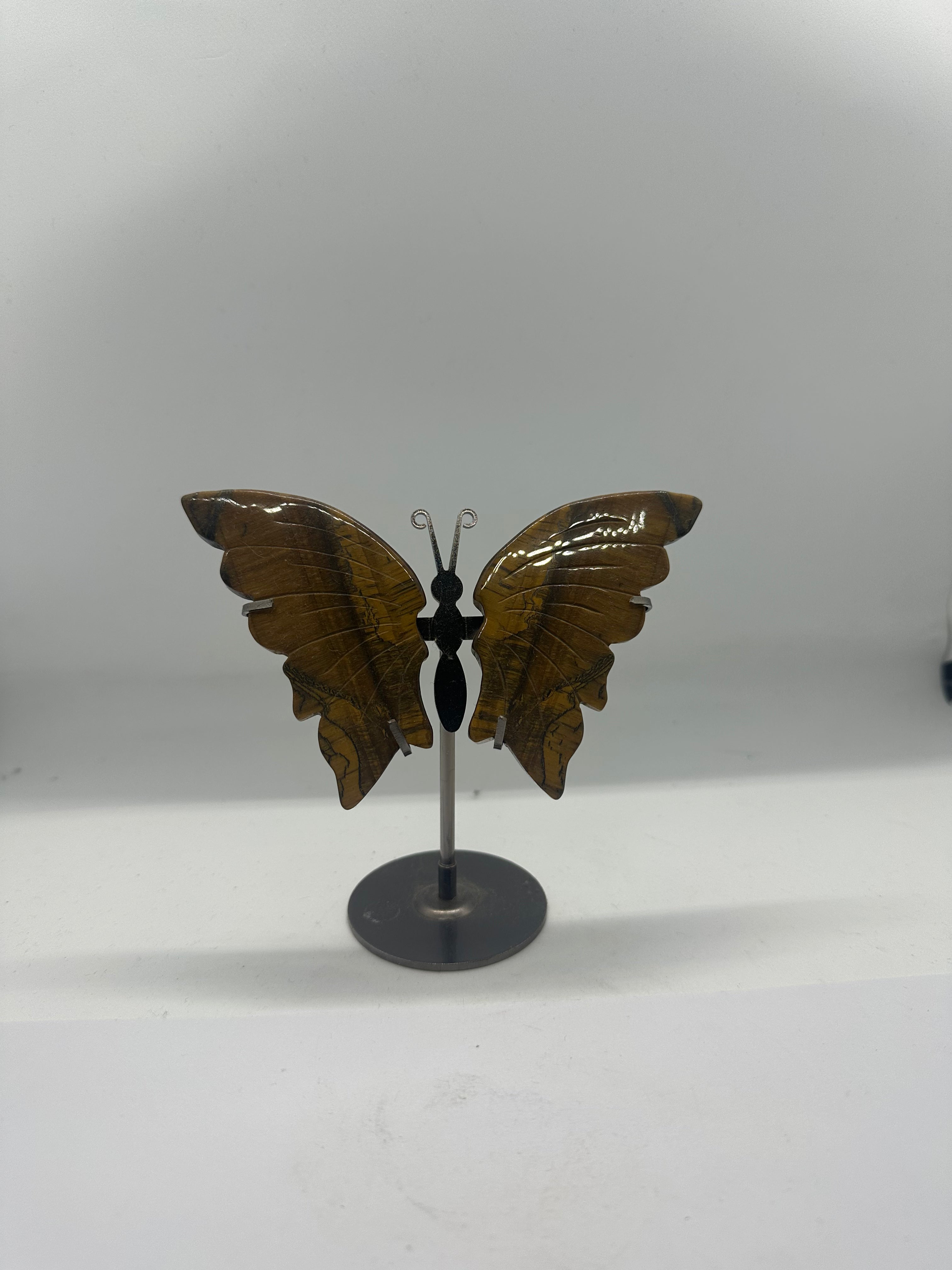 Tiger’s Eye Butterfly Wing Set on Stand – 154g