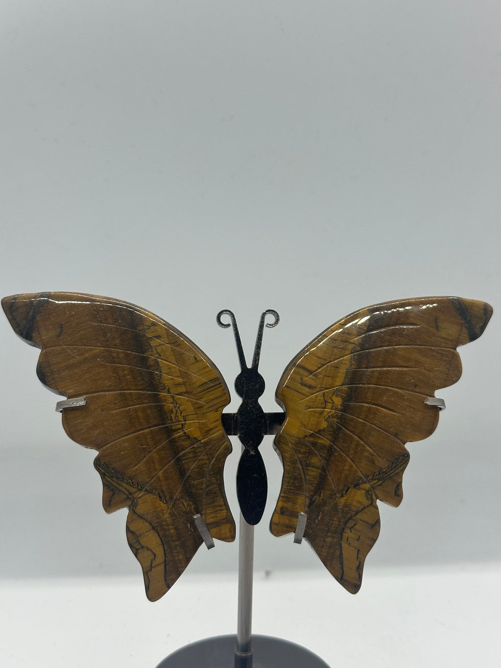 Tiger’s Eye Butterfly Wing Set on Stand – 154g