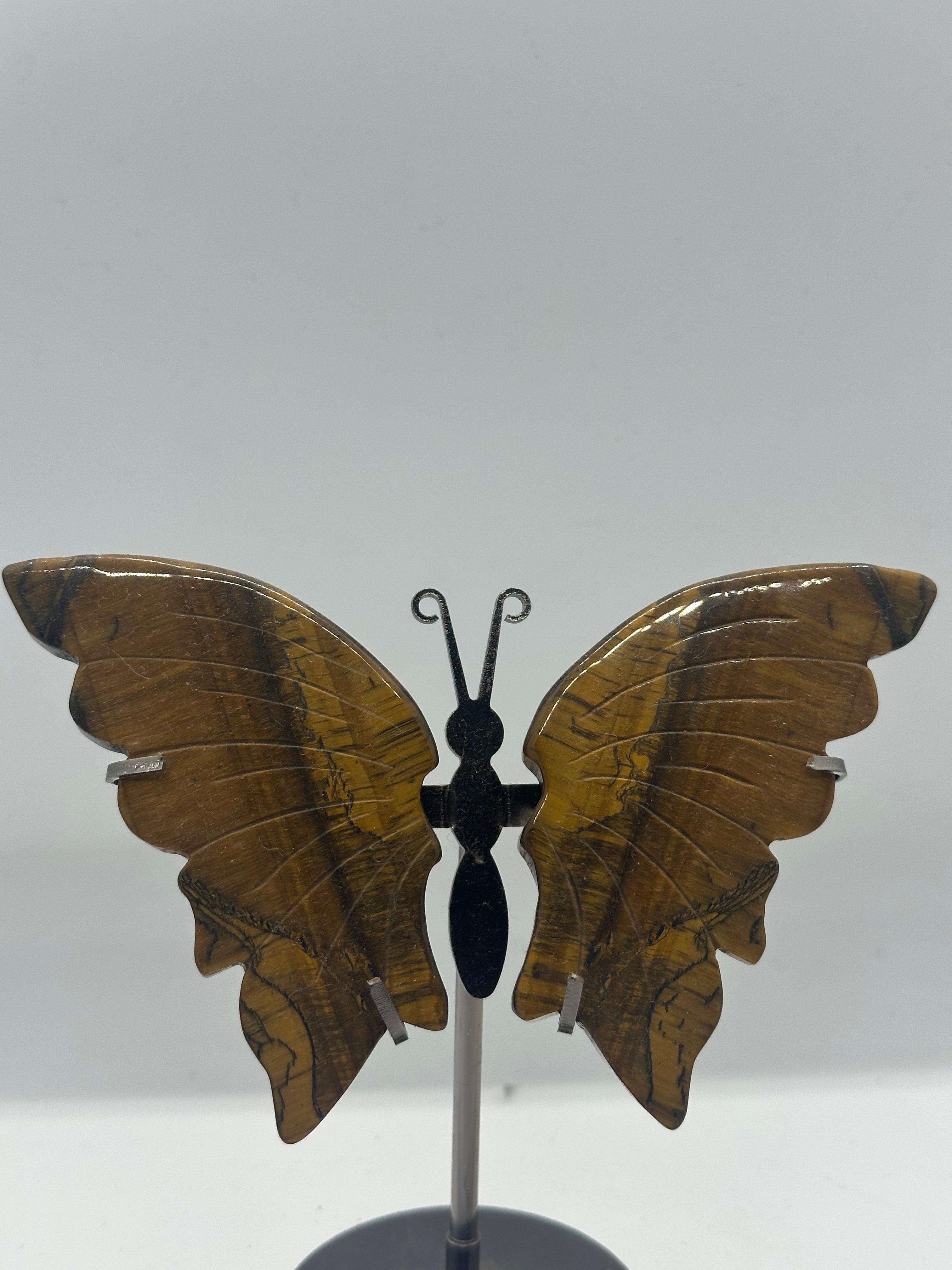 Tiger’s Eye Butterfly Wing Set on Stand – 154g