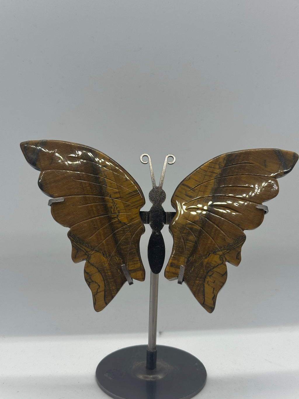 Tiger’s Eye Butterfly Wing Set on Stand – 154g