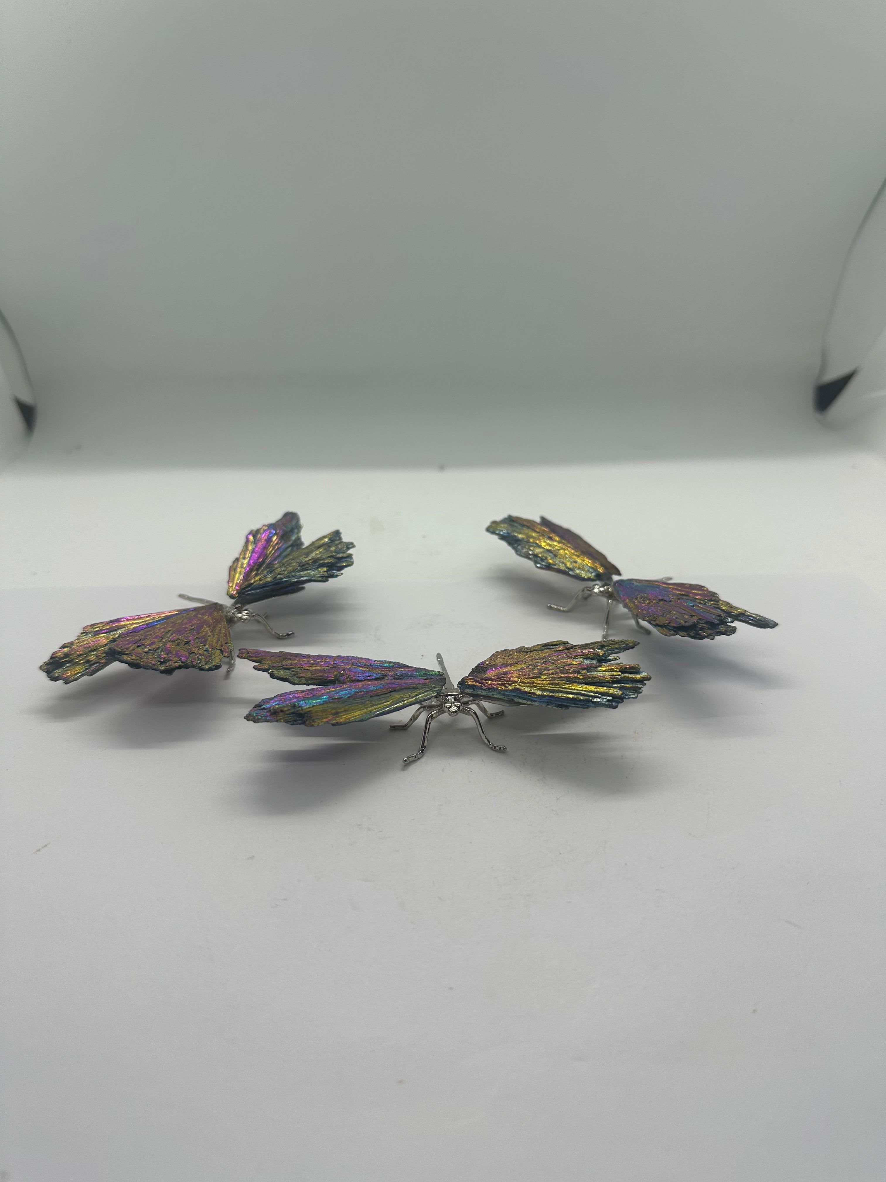 Aura Coated Tourmaline Dragonfly – 30g