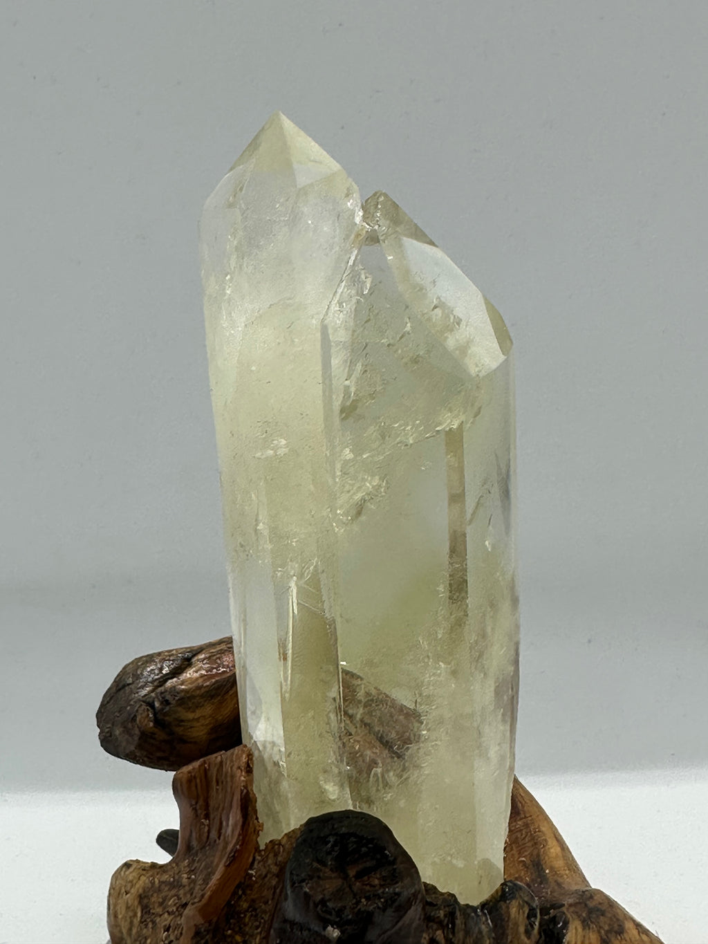 Citrine Double Point Tower in Custom Stand