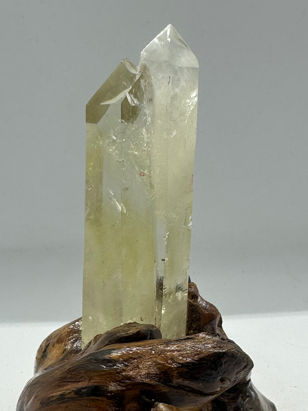 Citrine Double Point Tower in Custom Stand