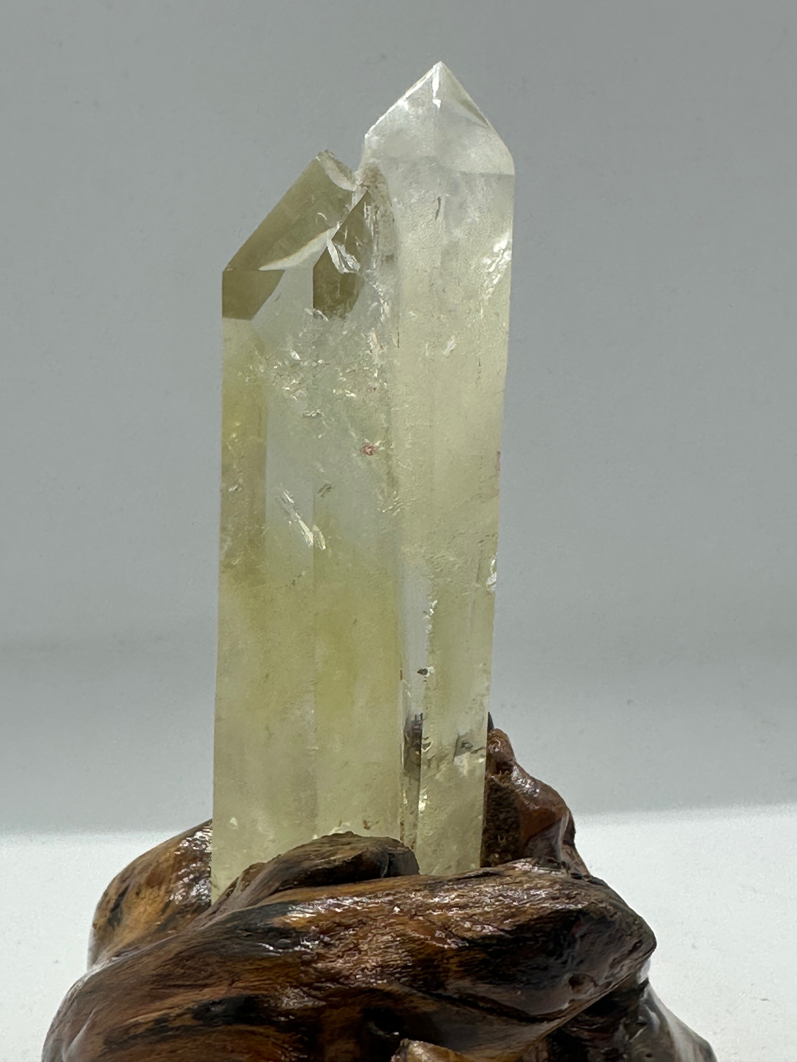 Citrine Double Point Tower in Custom Stand