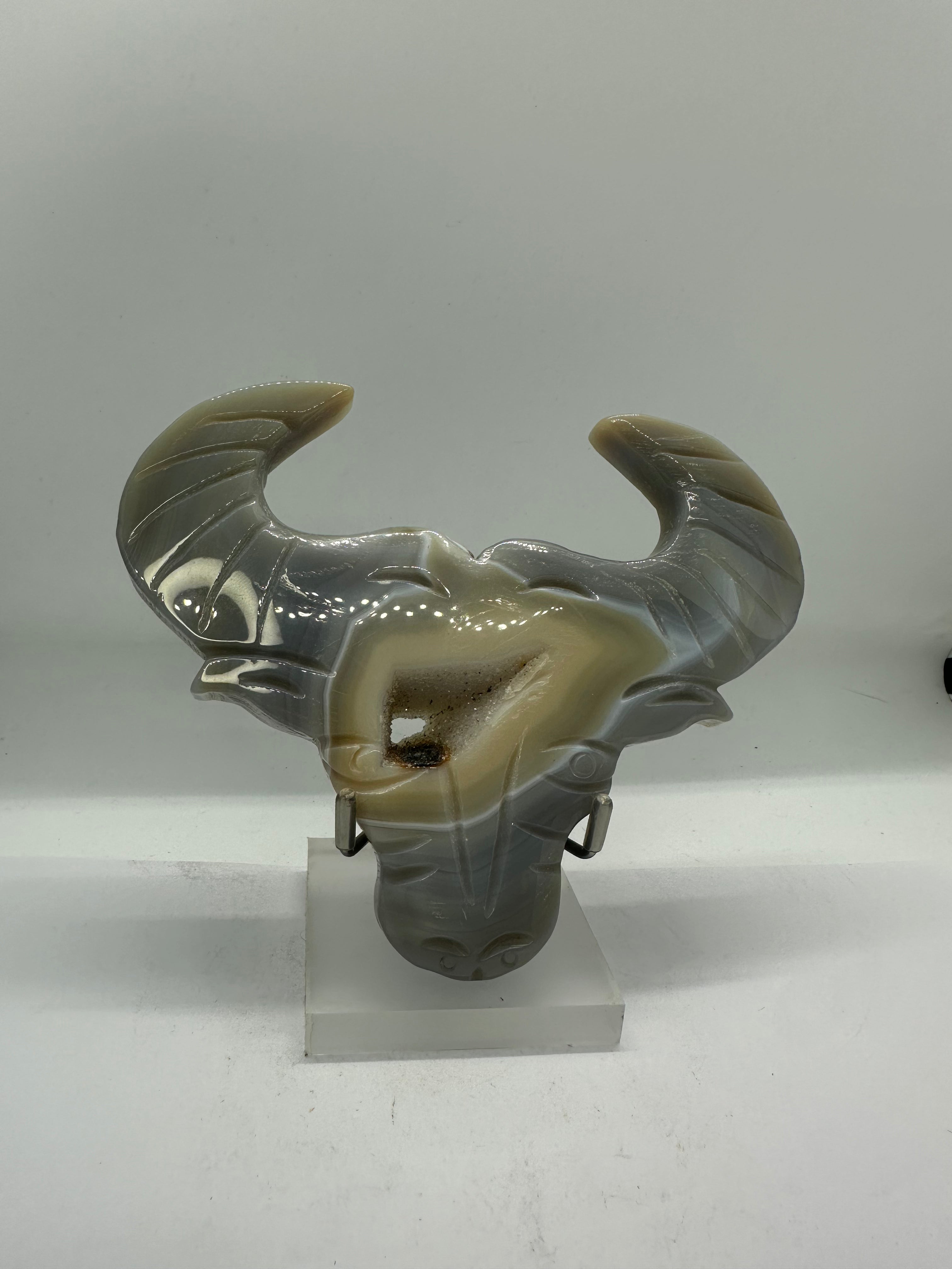 Druzy agate Bull head 262g