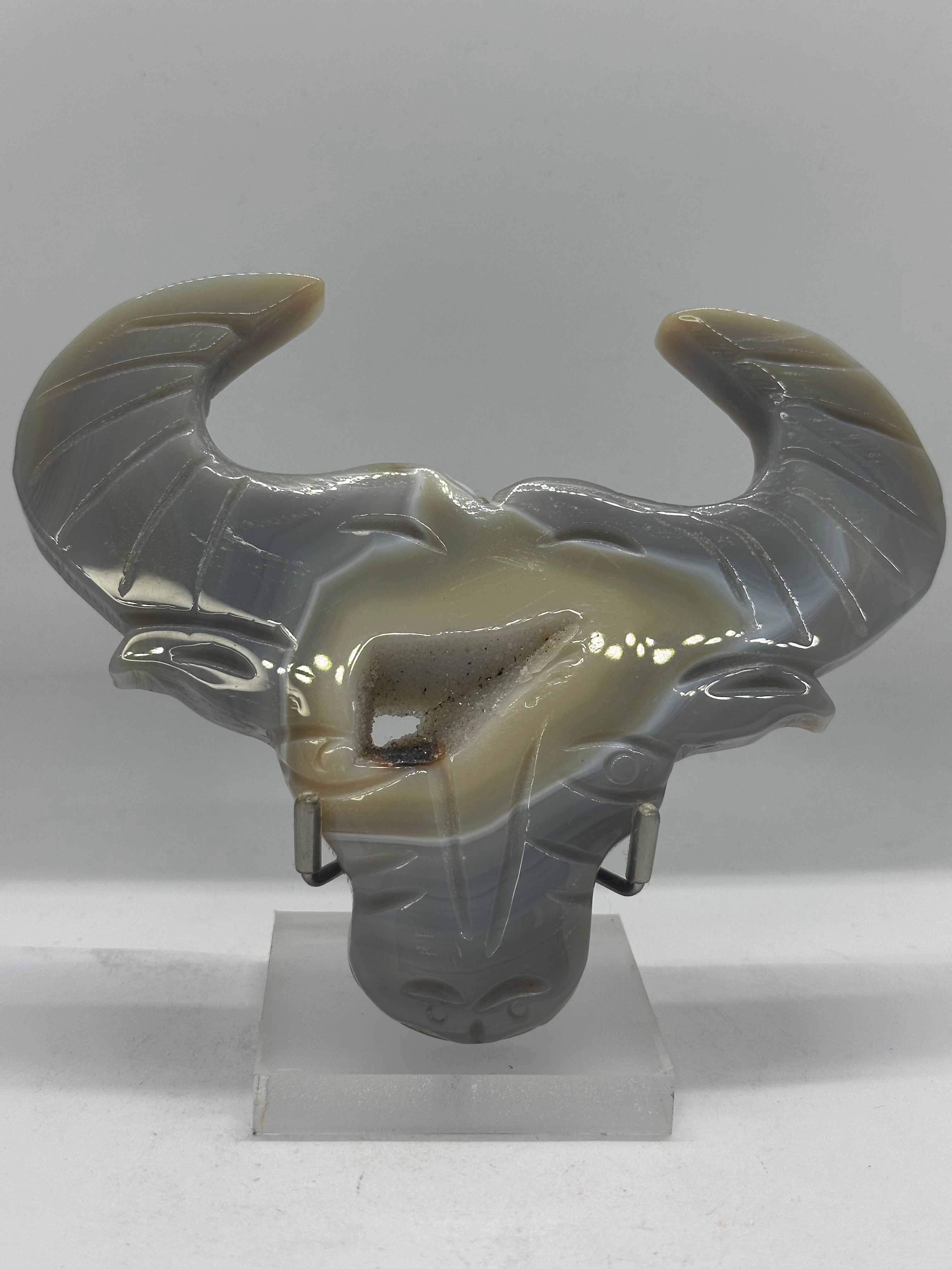 Druzy agate Bull head 262g