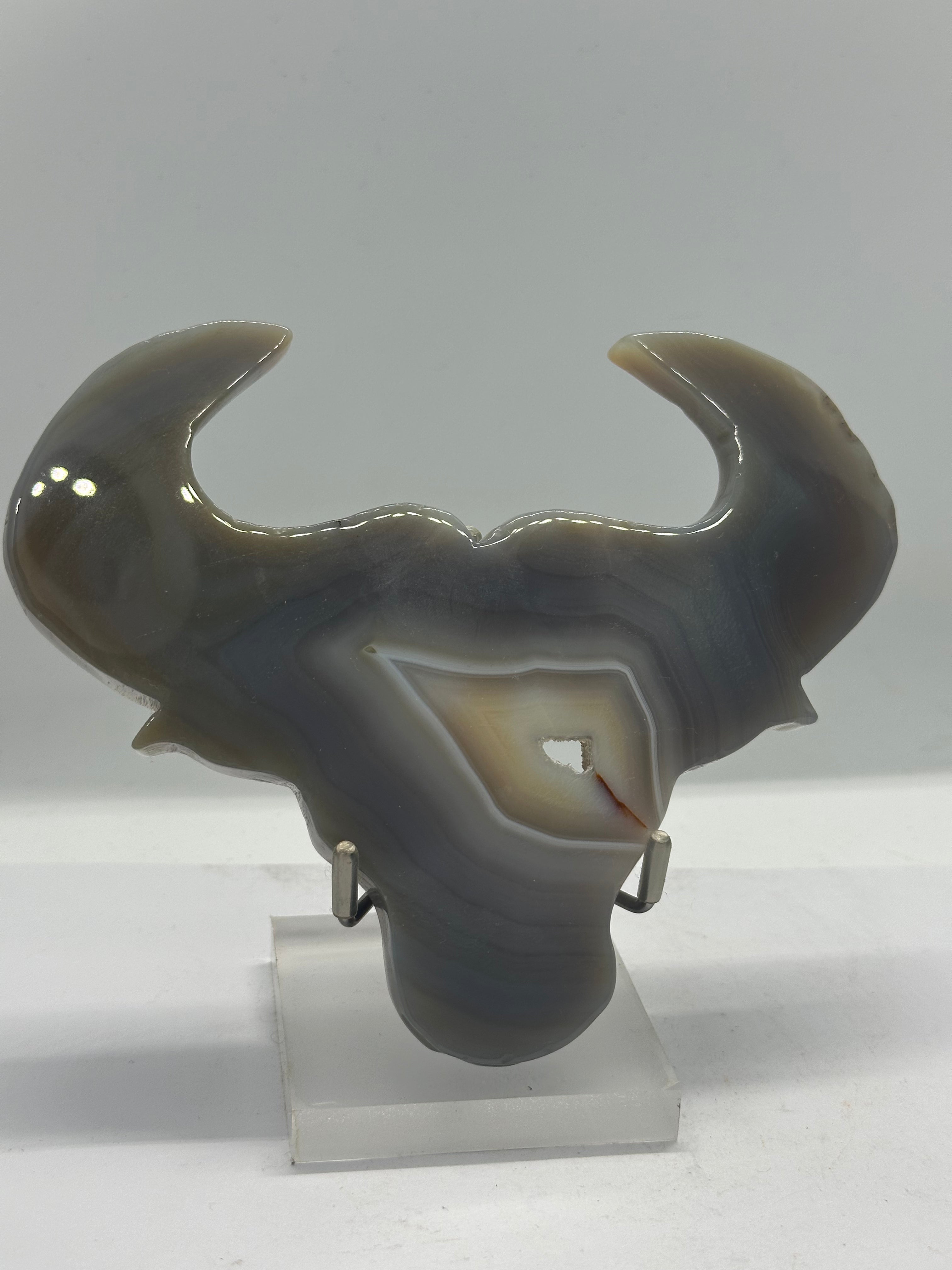 Druzy agate Bull head 262g