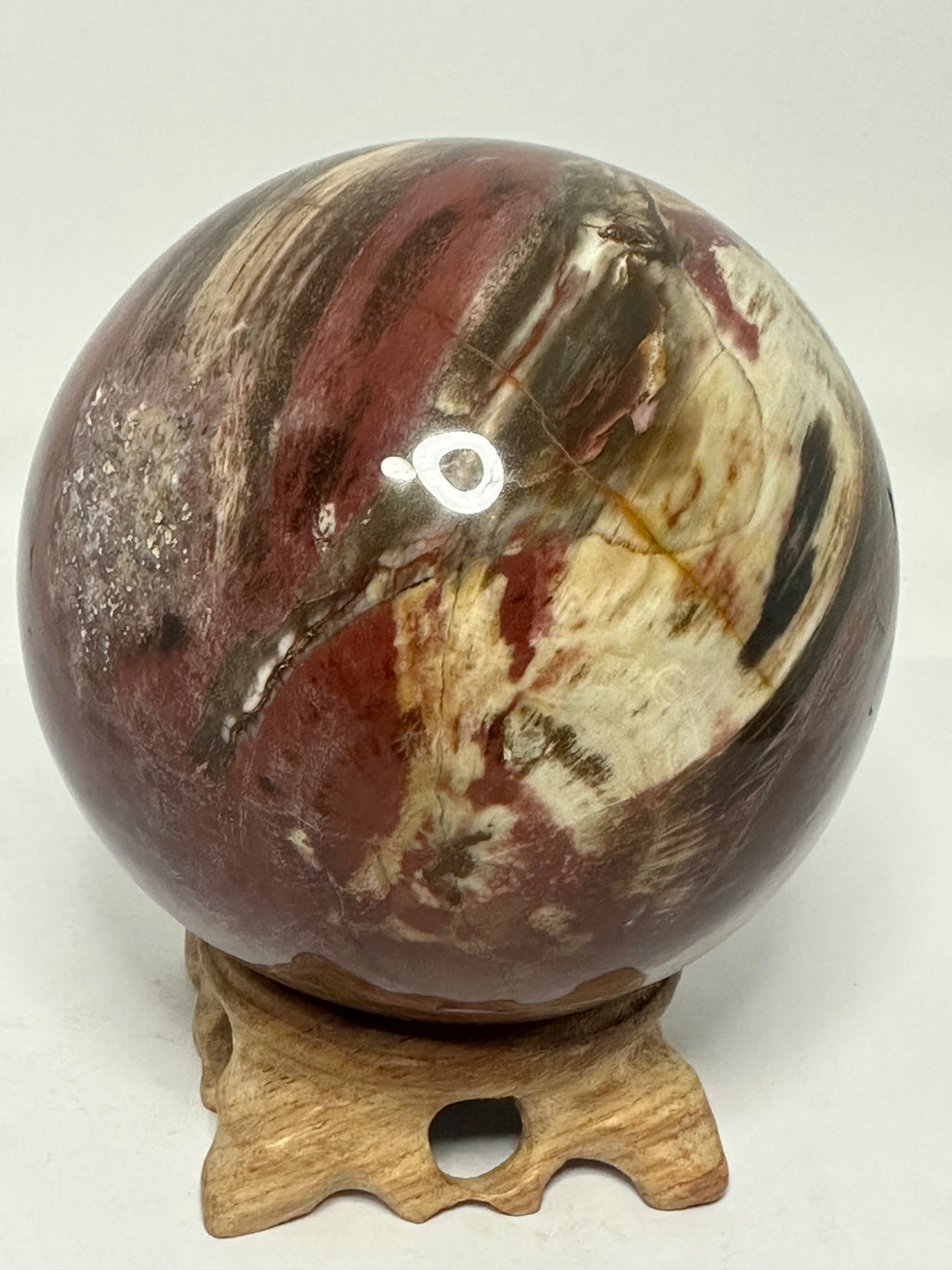 Petrified Wood Sphere