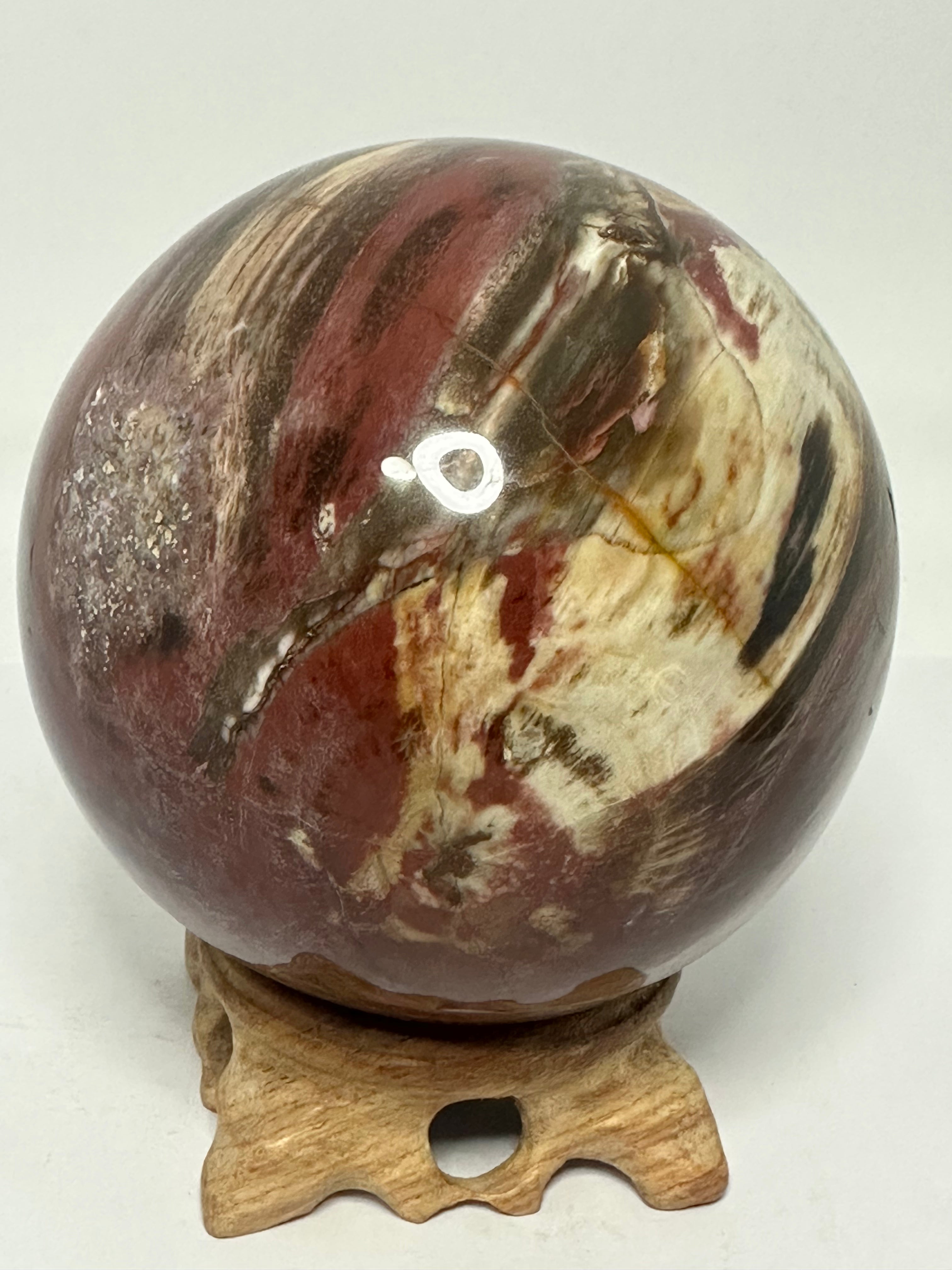 Petrified Wood Sphere