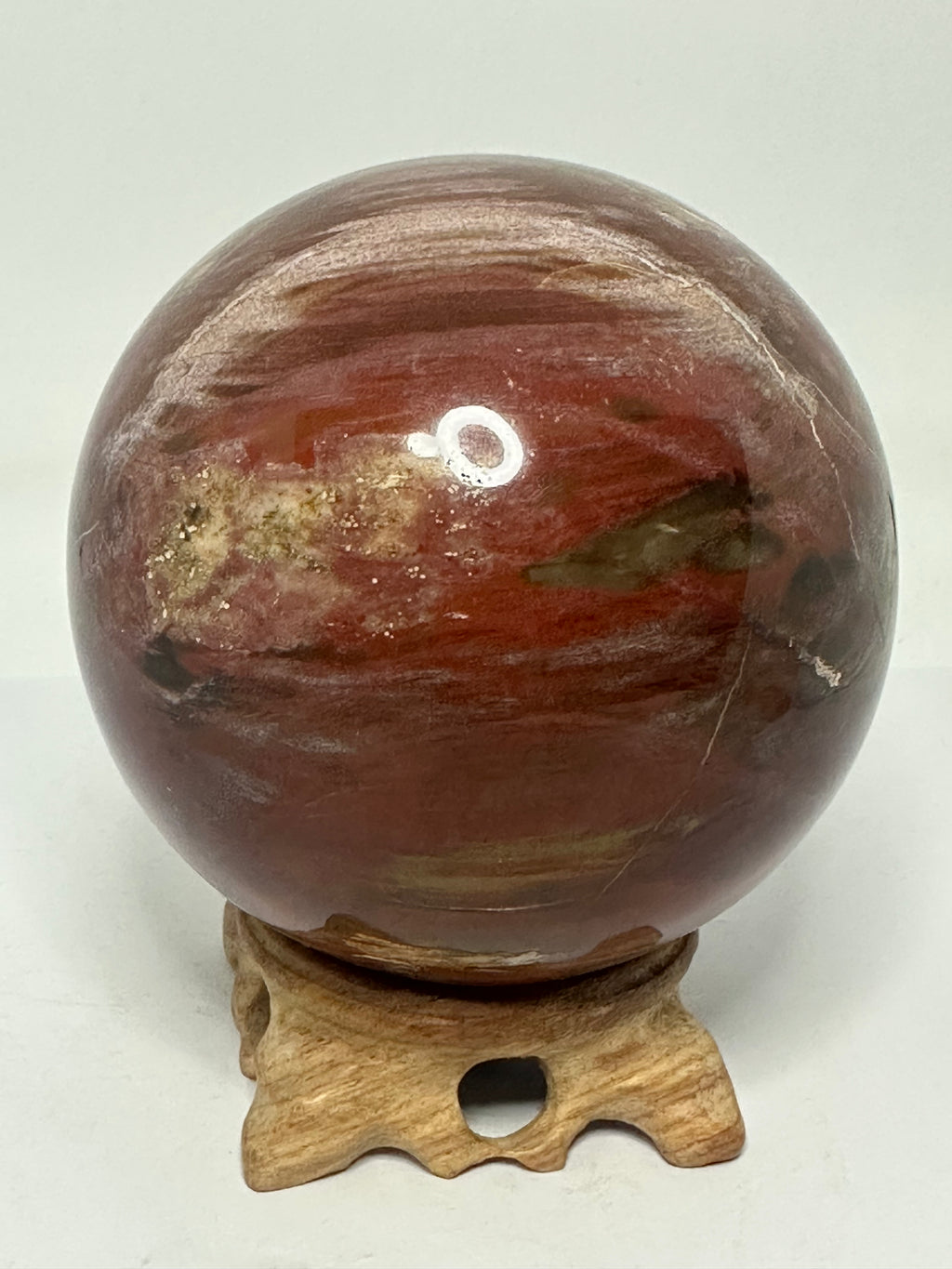 Petrified Wood Sphere