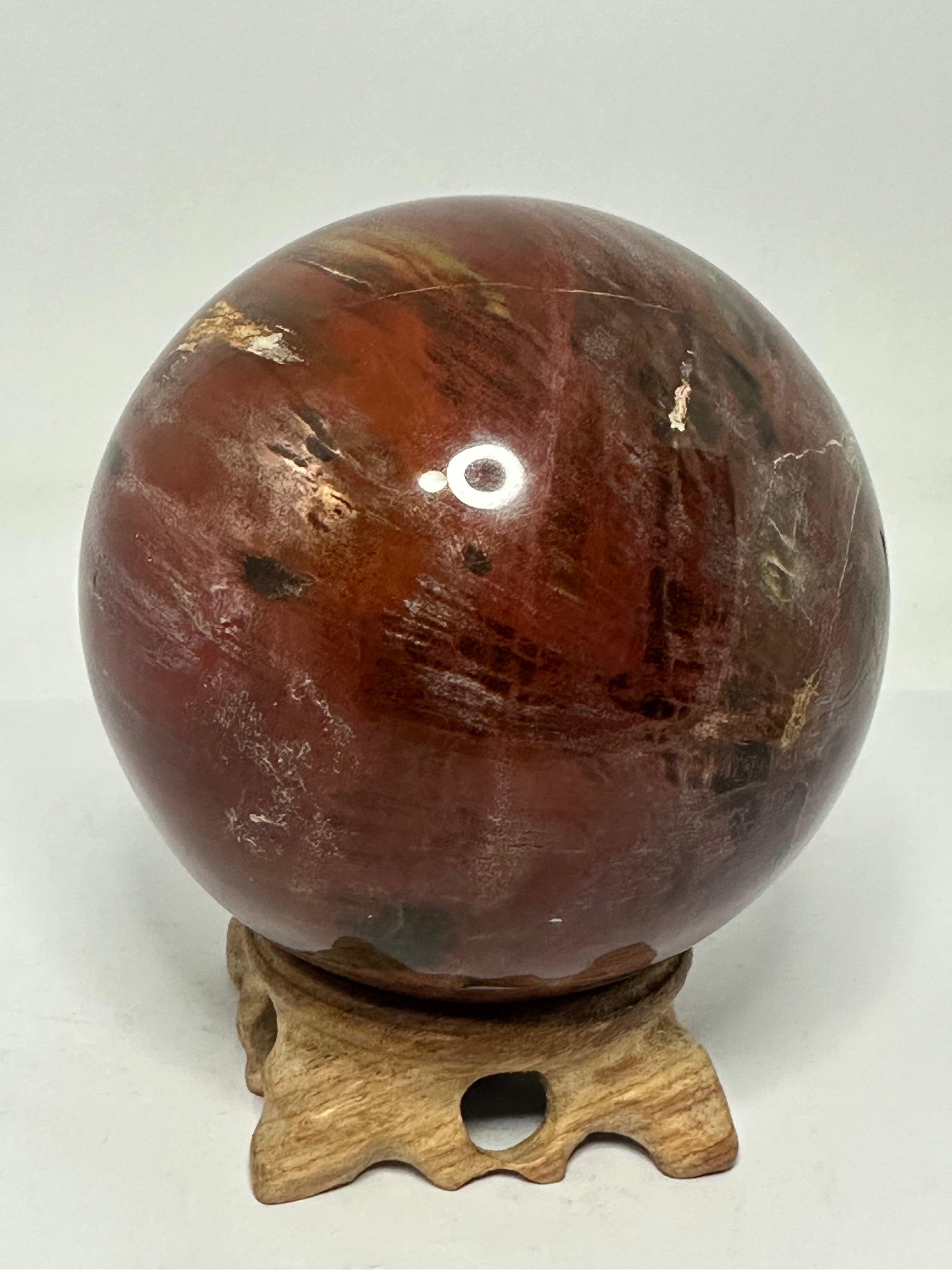 Petrified Wood Sphere