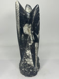 Orthoceras Fossil Tower – 1.14kg