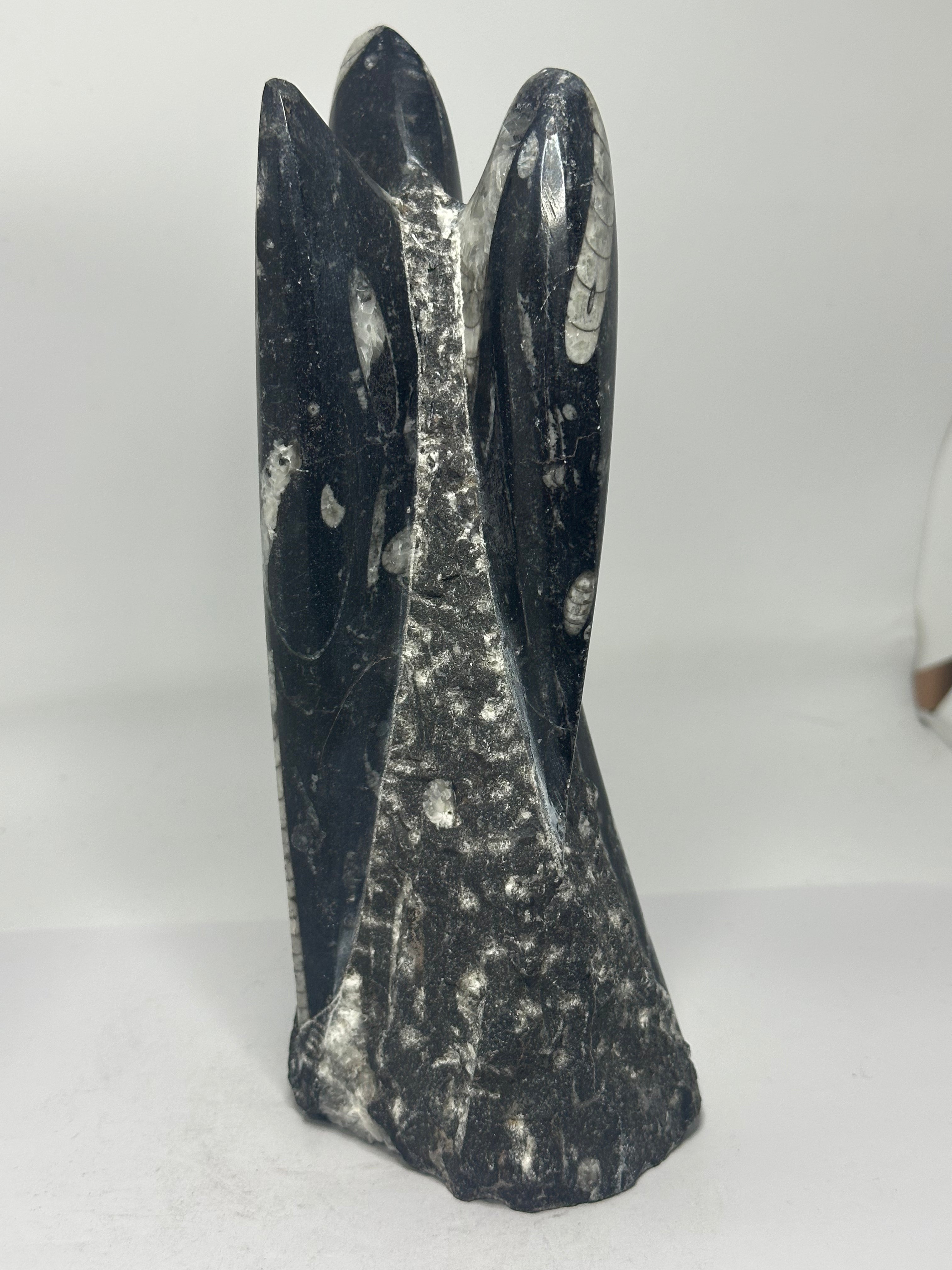 Orthoceras Fossil Tower – 1.14kg