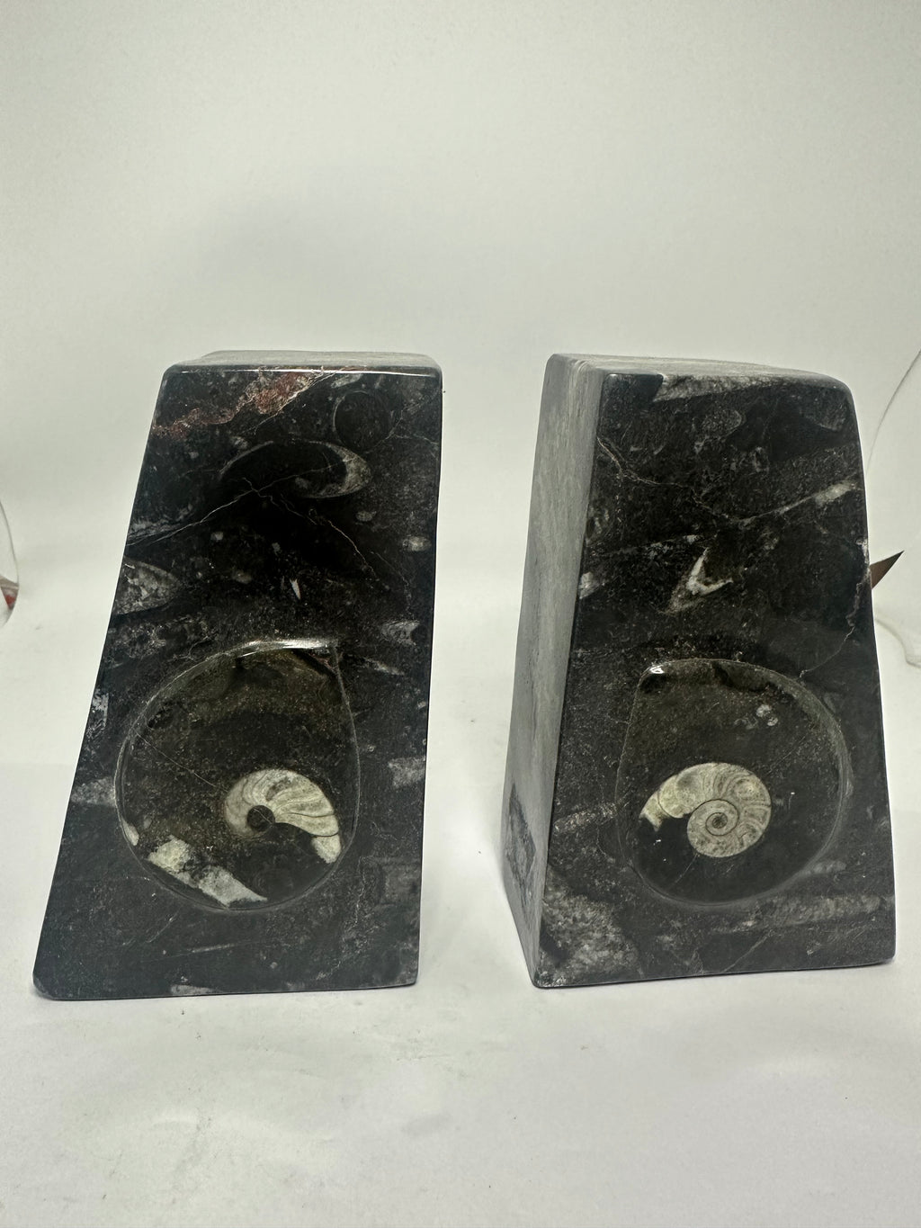 Ammonite Book Ends – 2kg Pair