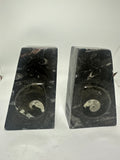 Ammonite Book Ends – 2kg Pair