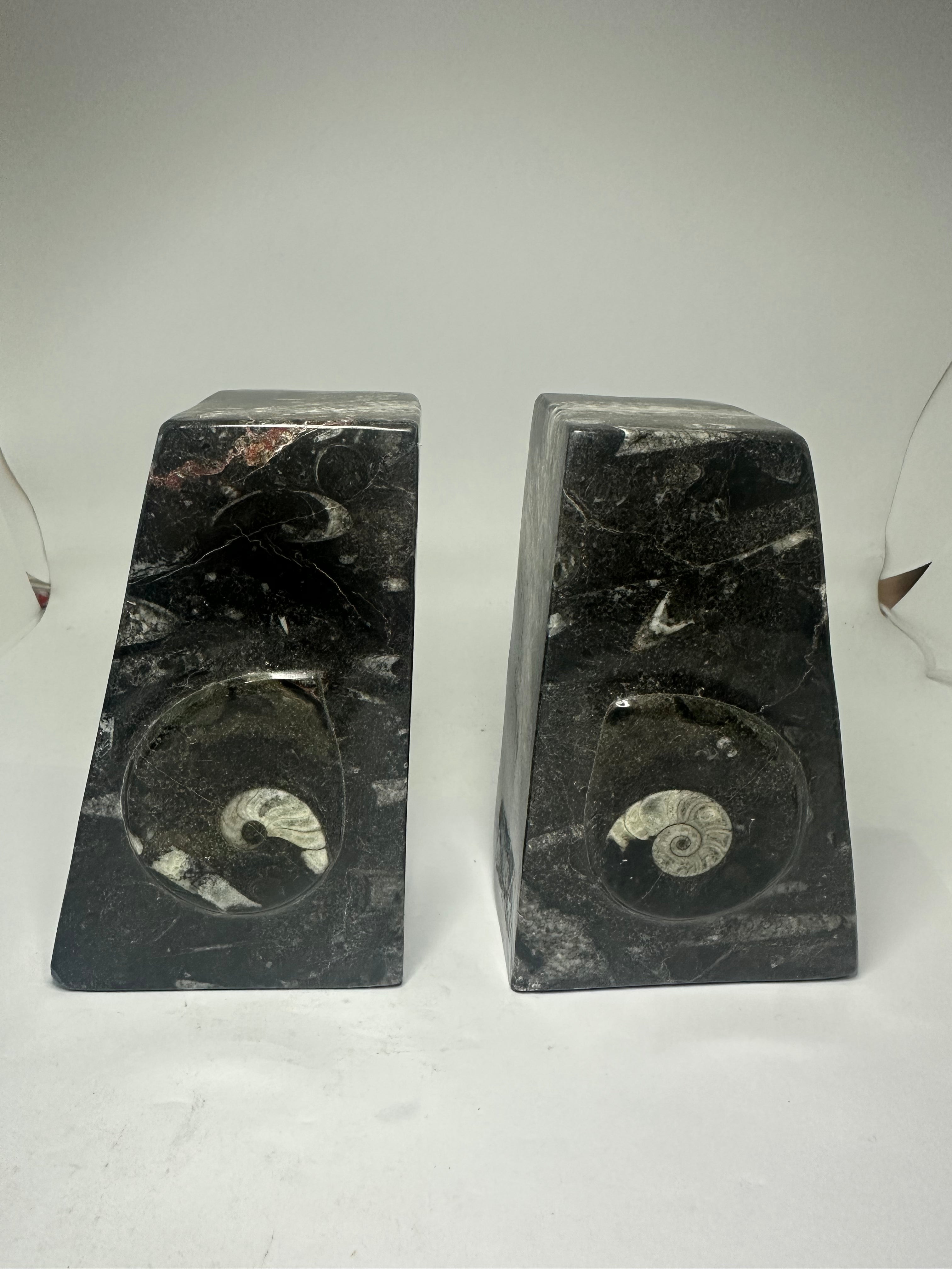 Ammonite Book Ends – 2kg Pair