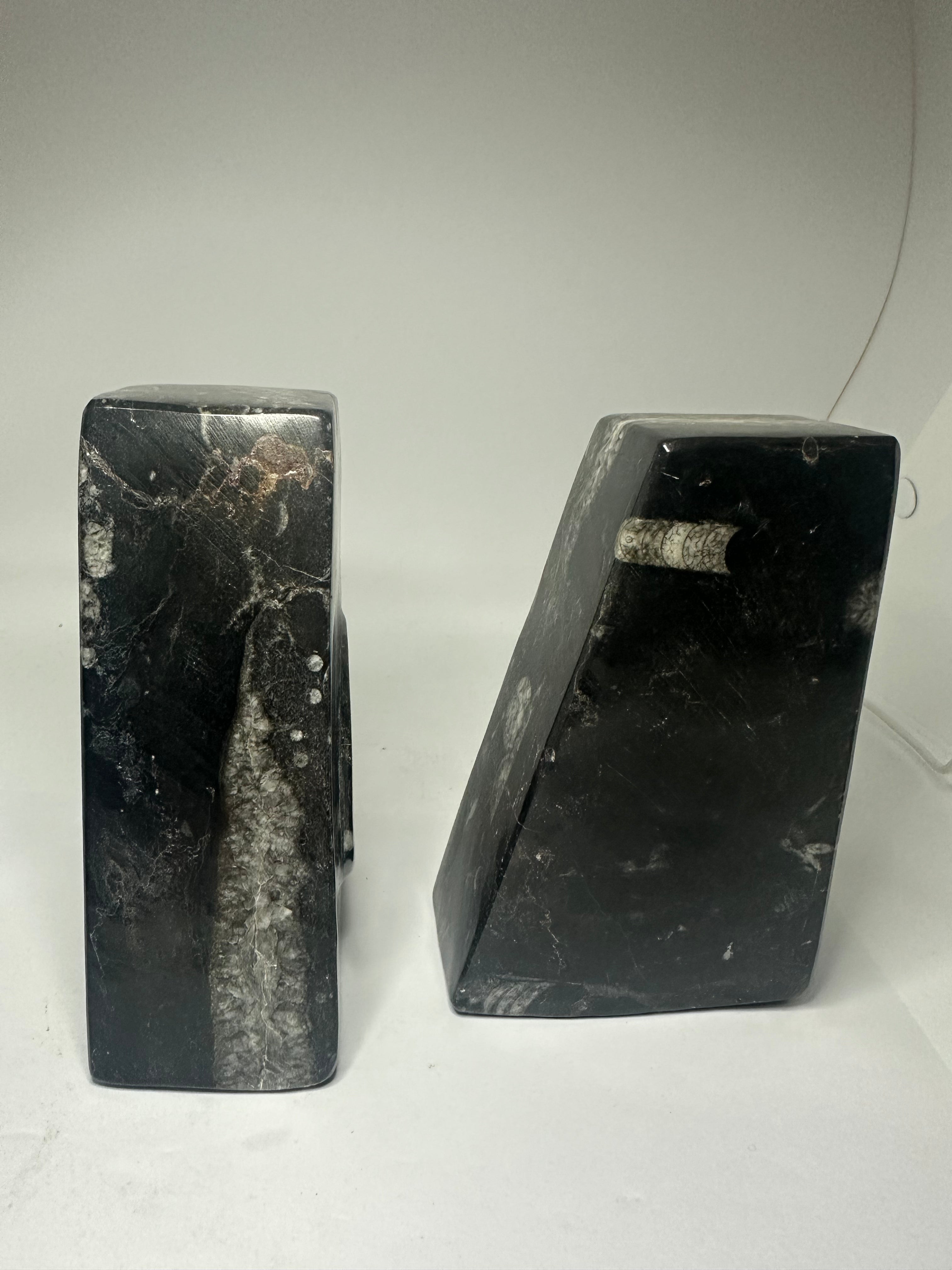 Ammonite Book Ends – 2kg Pair