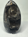 Septarian Egg - 888g