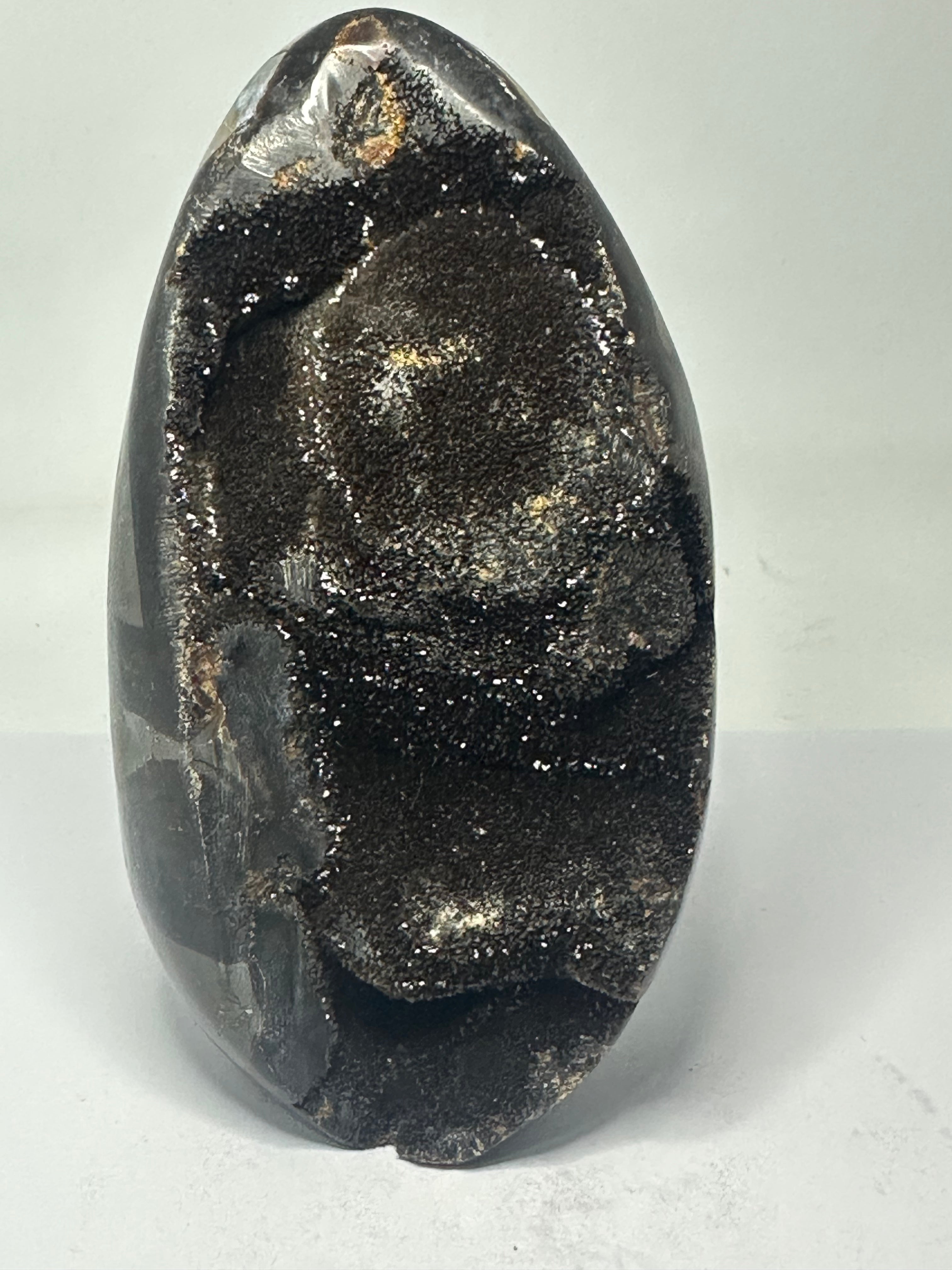 Septarian Egg - 888g