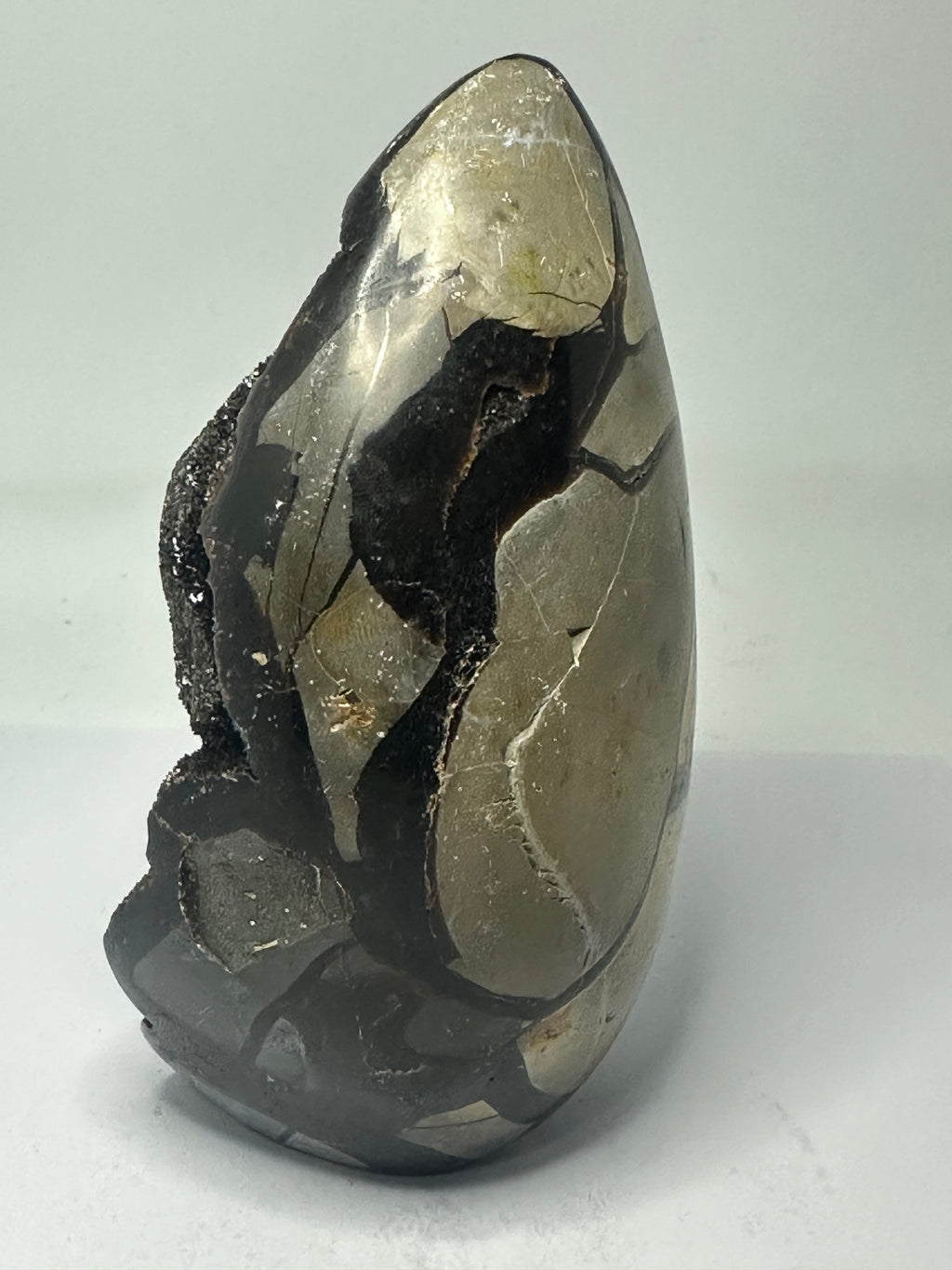 Septarian Egg - 888g