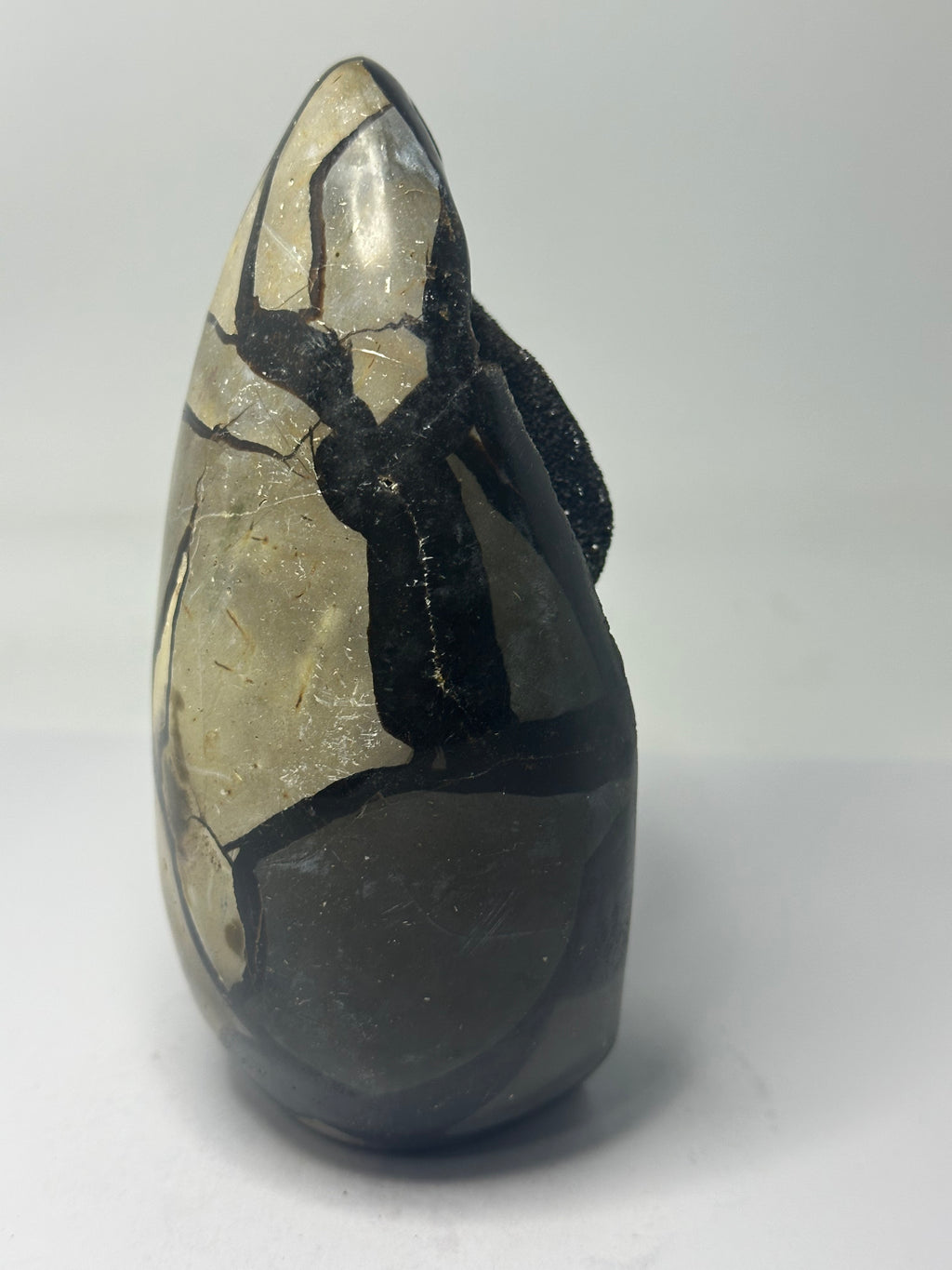 Septarian Egg - 888g