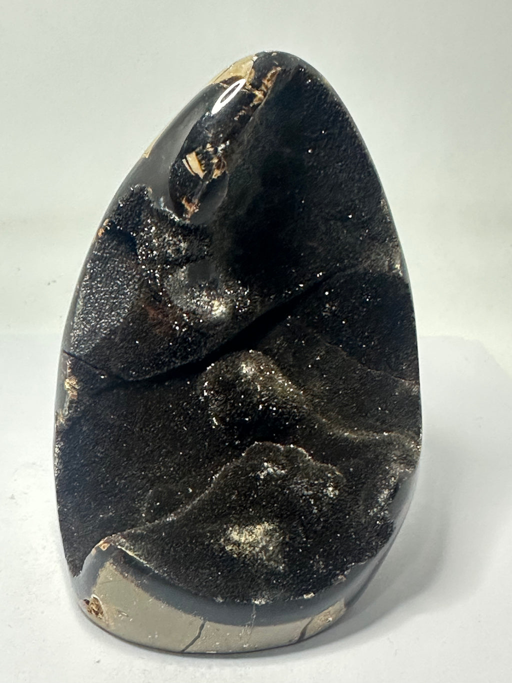 Septarian Egg - 600g