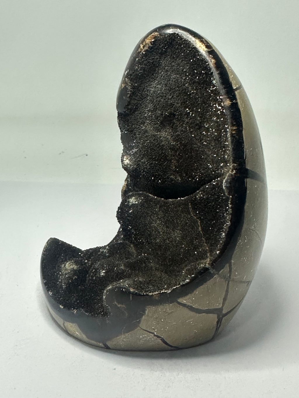Septarian Egg - 600g