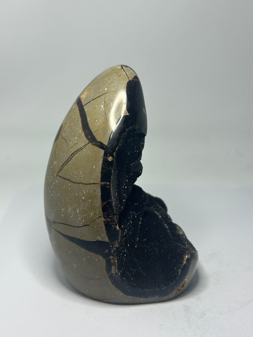Septarian Egg - 600g